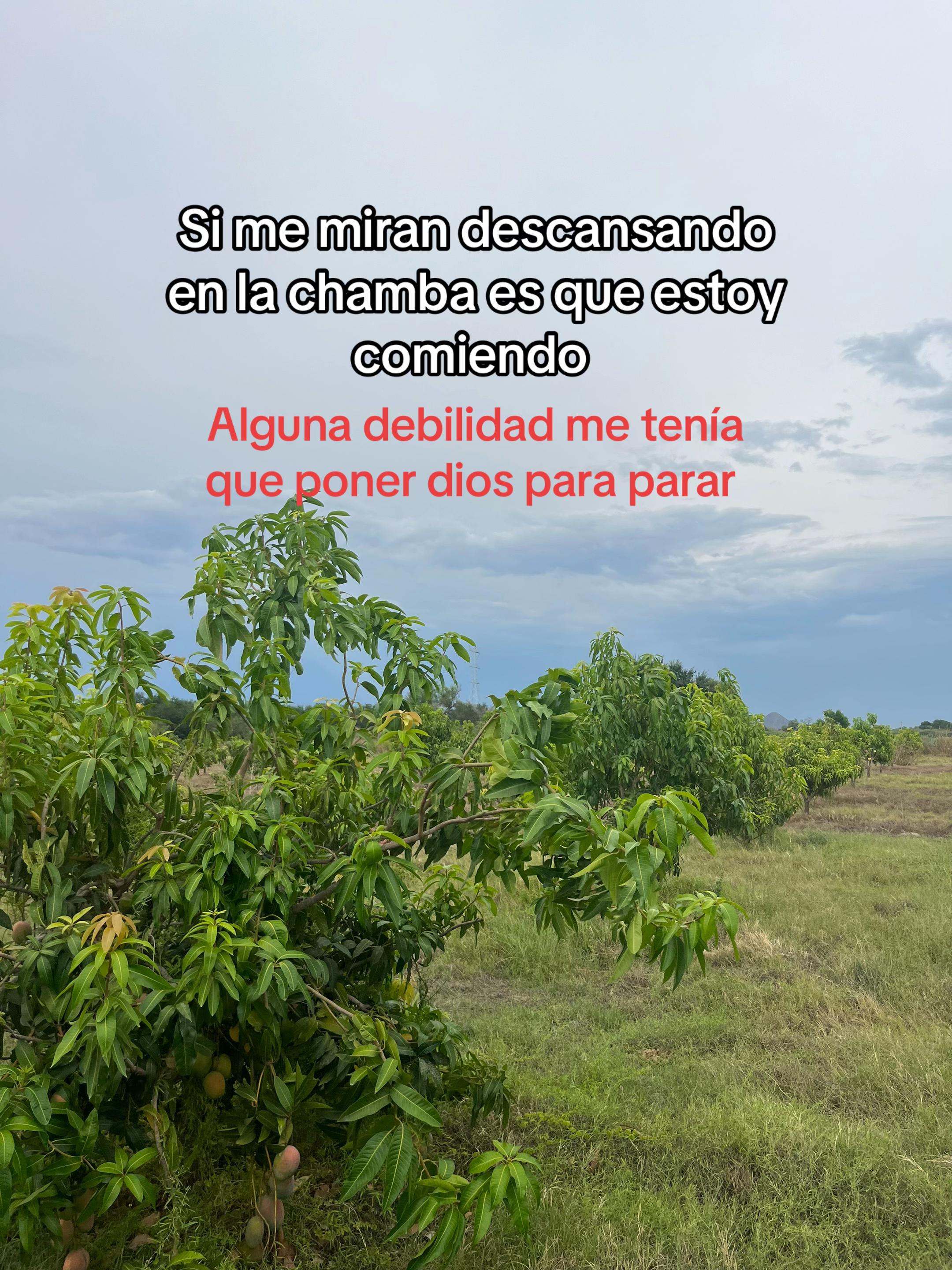 @Elpedrito19