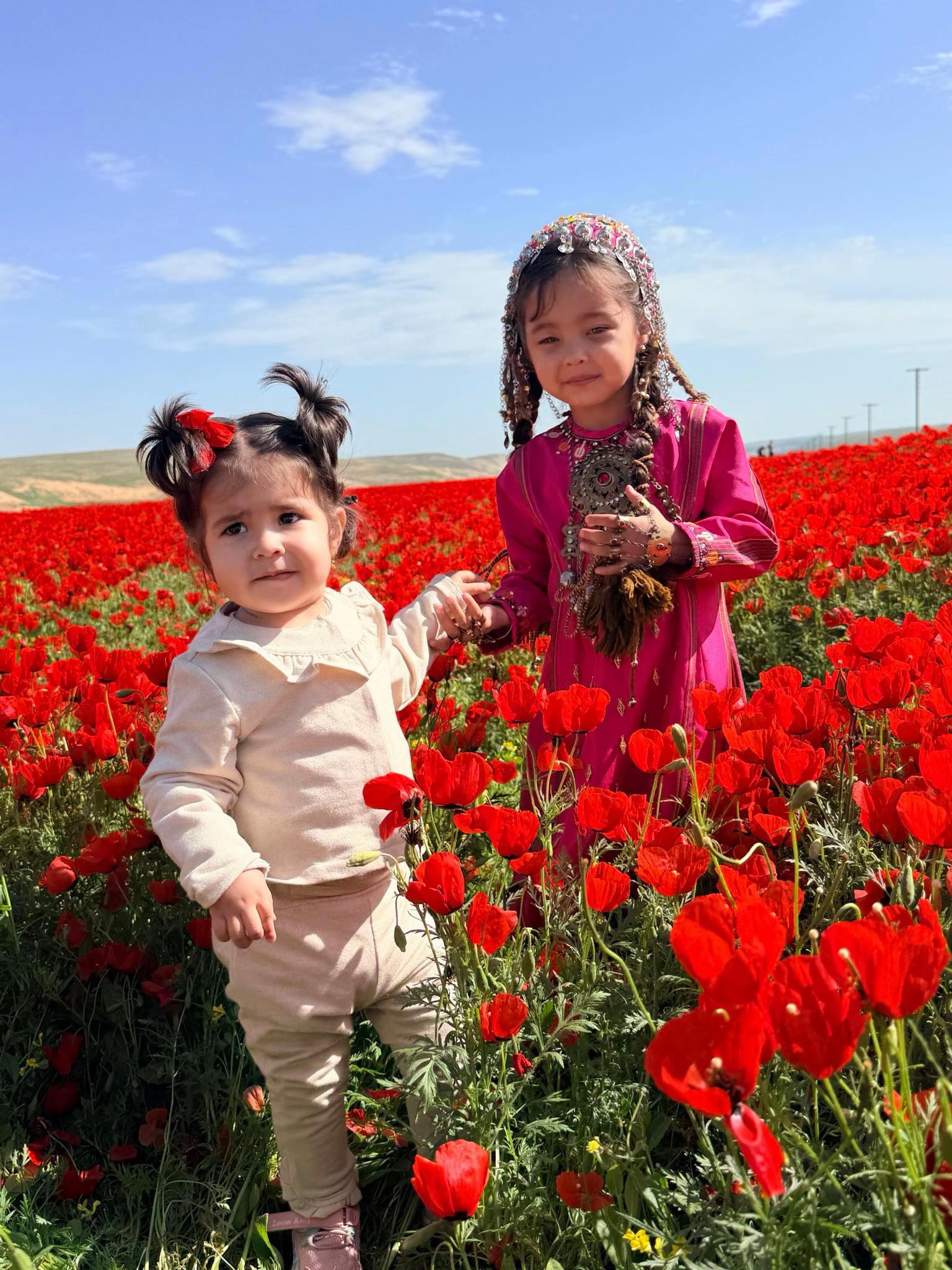 @سردار