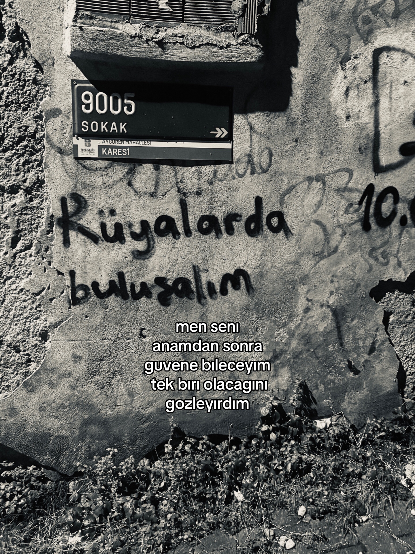 @wer bın ıch?