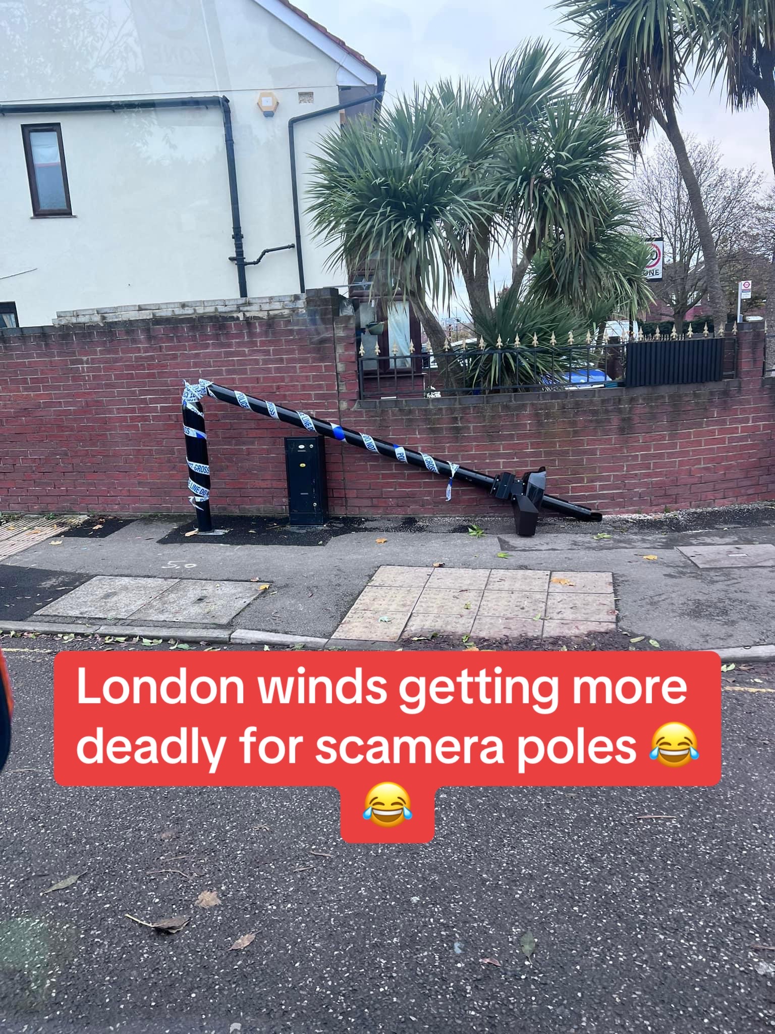 @London Bladerunners