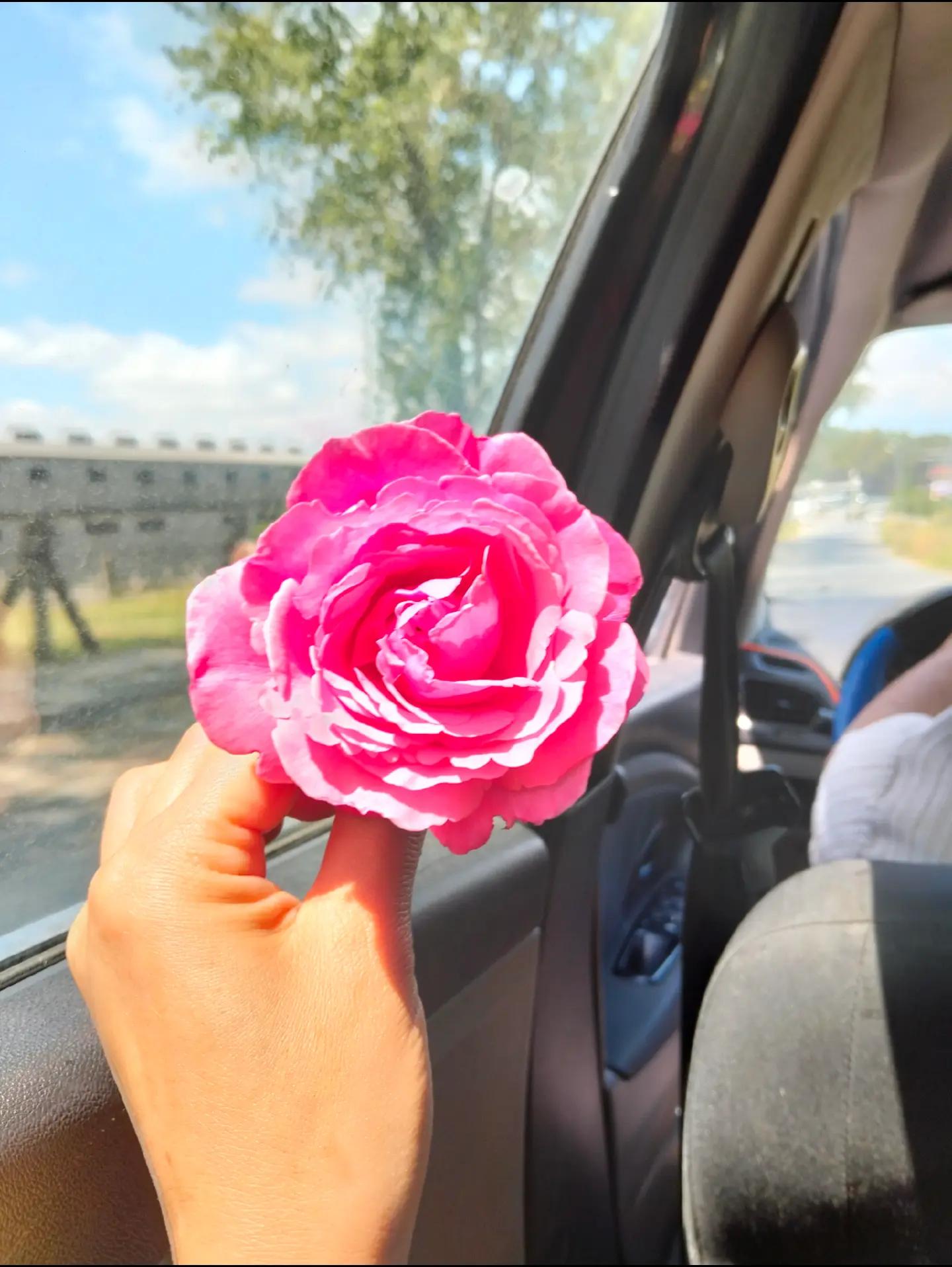 @kara gözlüm 🌸