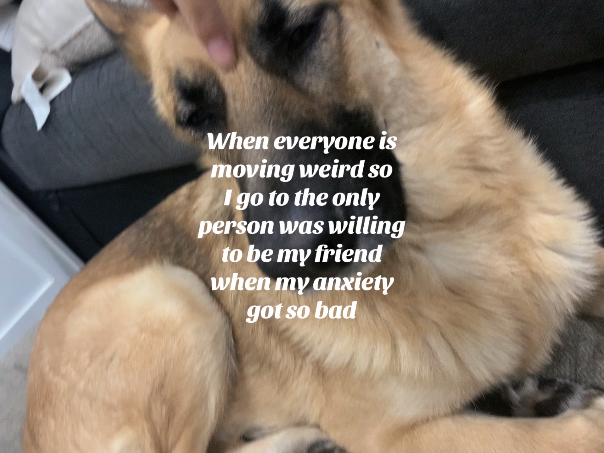 @ꨄ 𝓢𝓀𝓎🐾