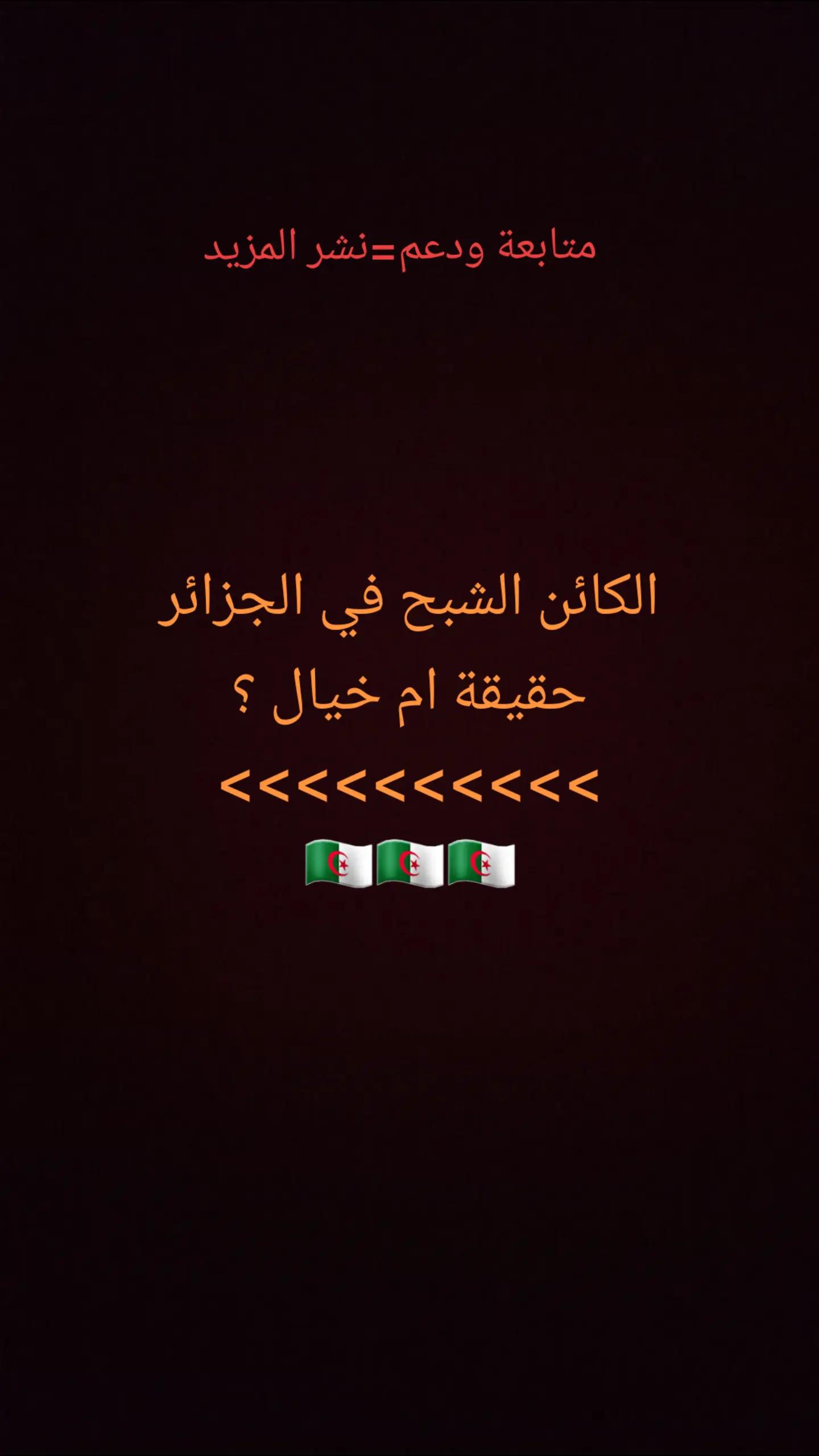 @ramziaouadj93
