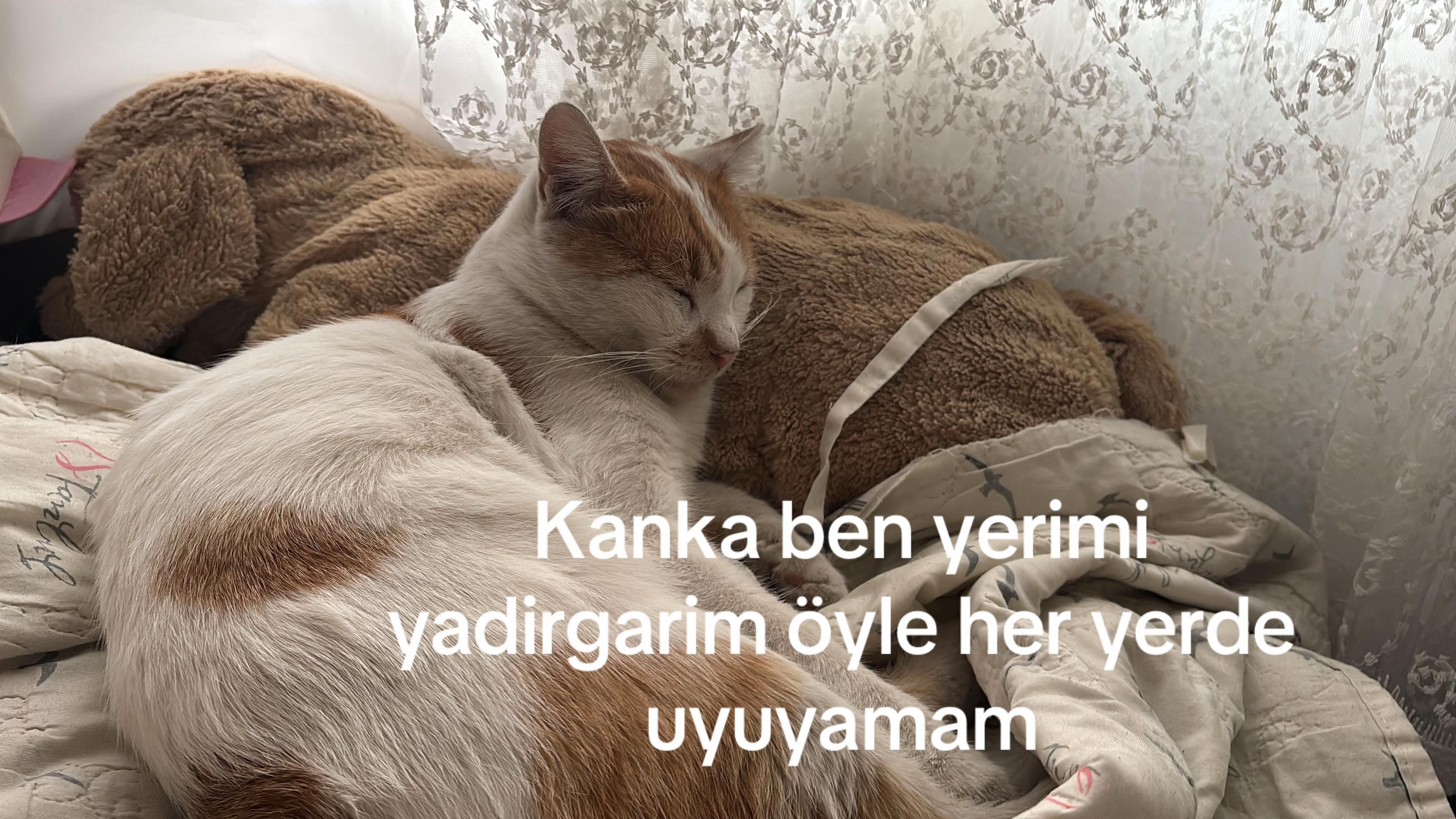 @cern.krs