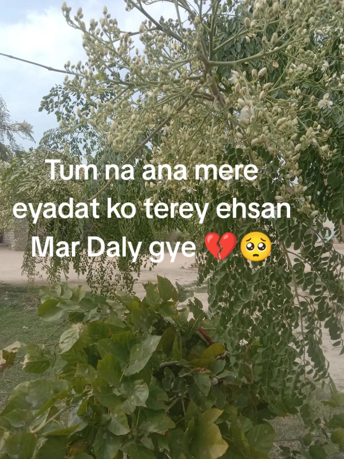 @Heer khanii 💕💖