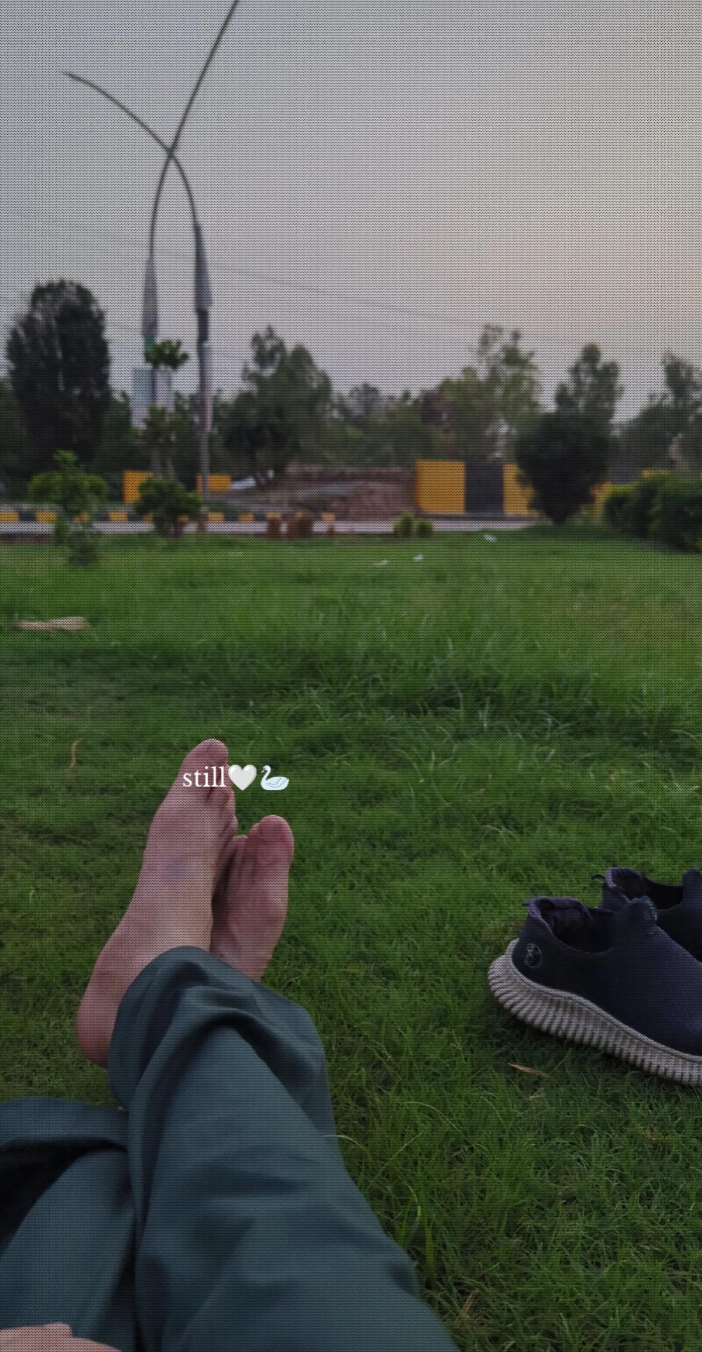 @️Zubair Mohmand