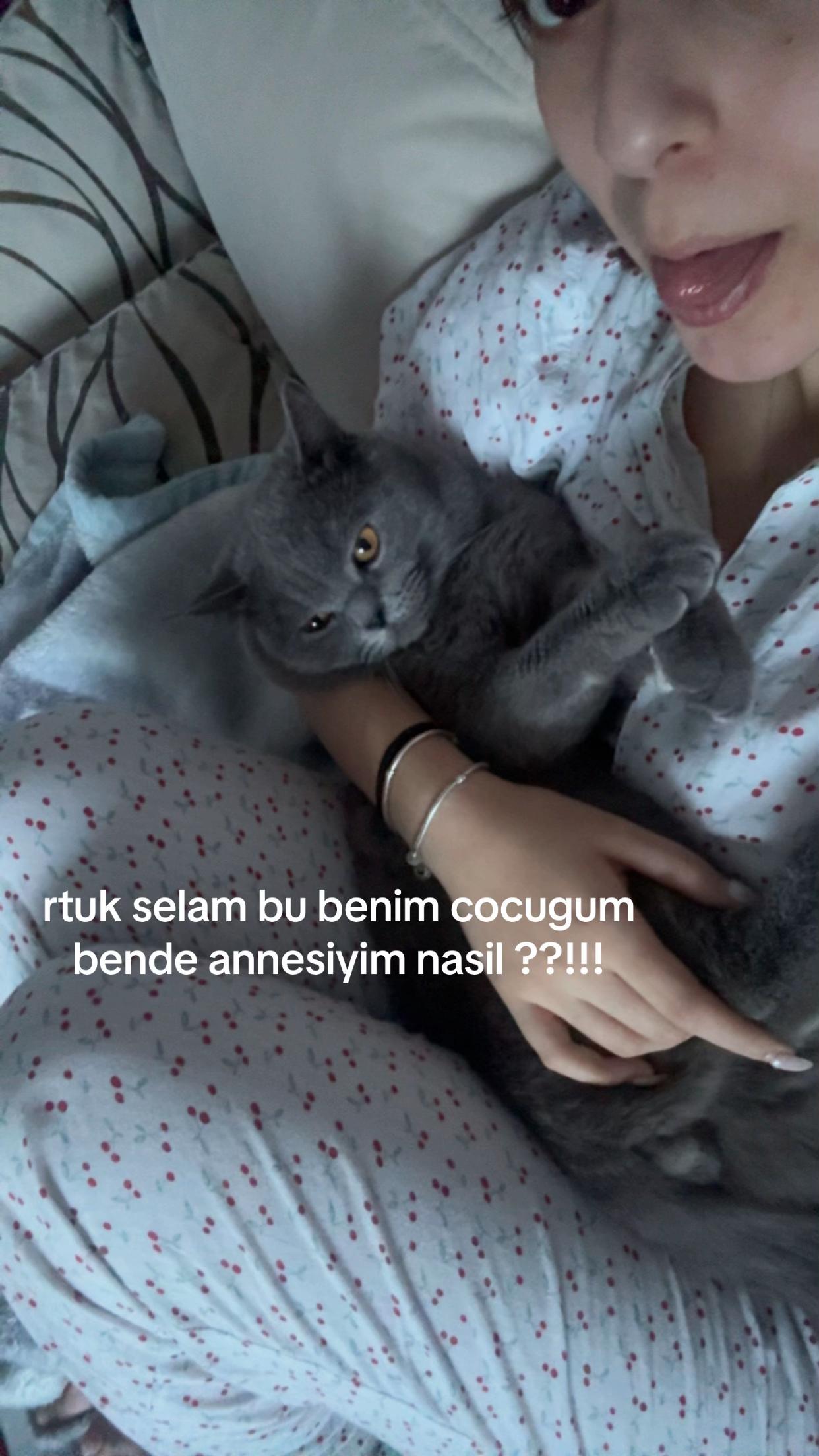 @nehiireliff
