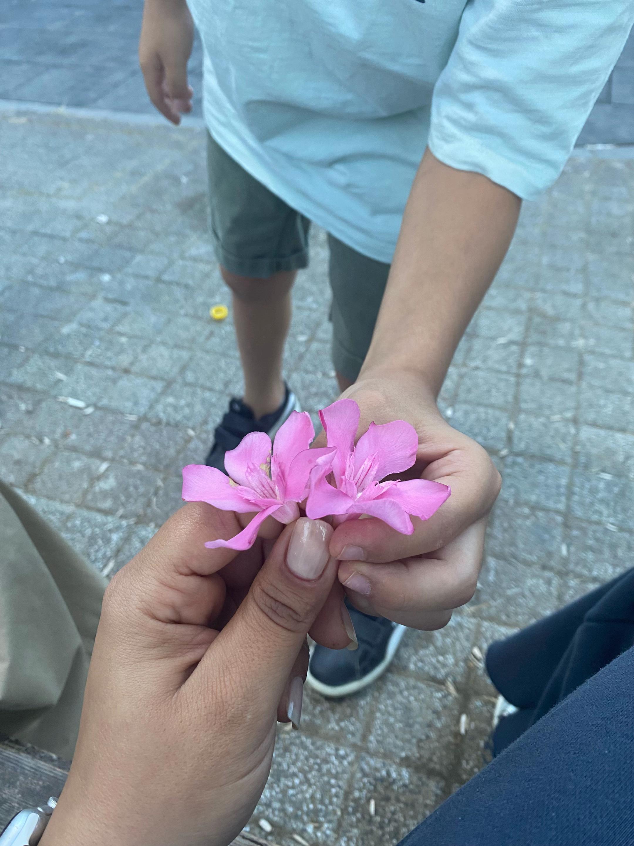 @eylul5375