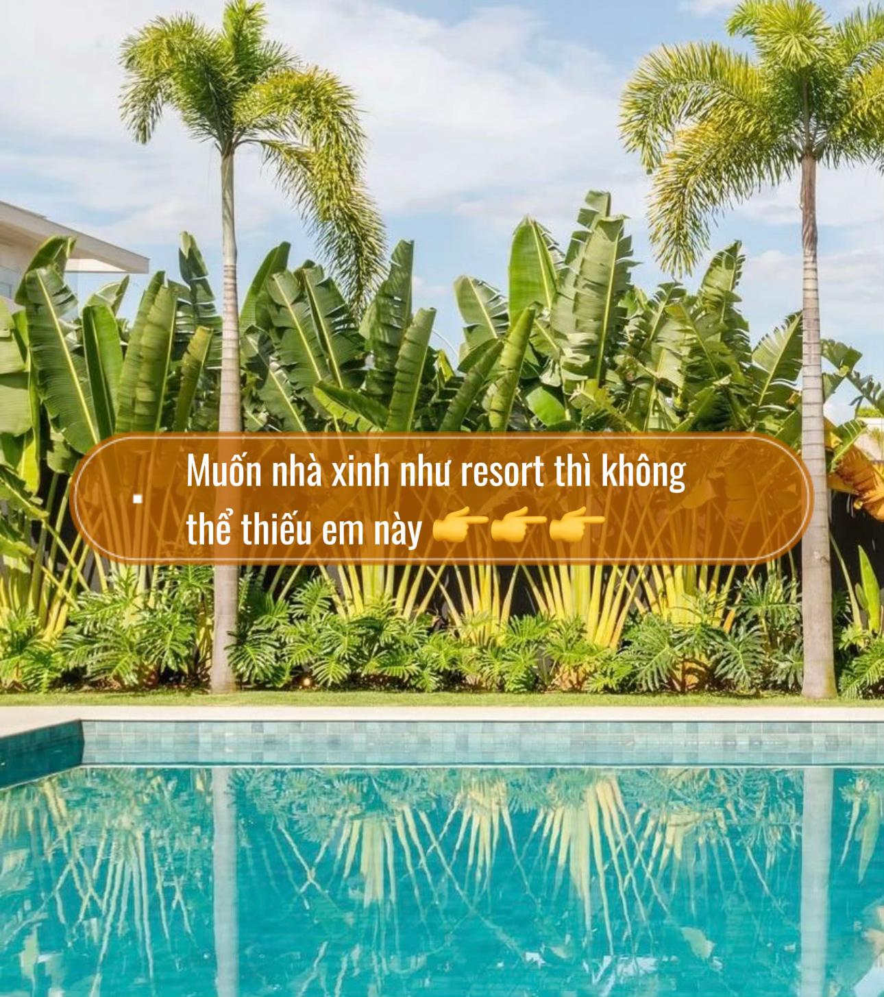 @Tiệm L&aacute; Nhỏ