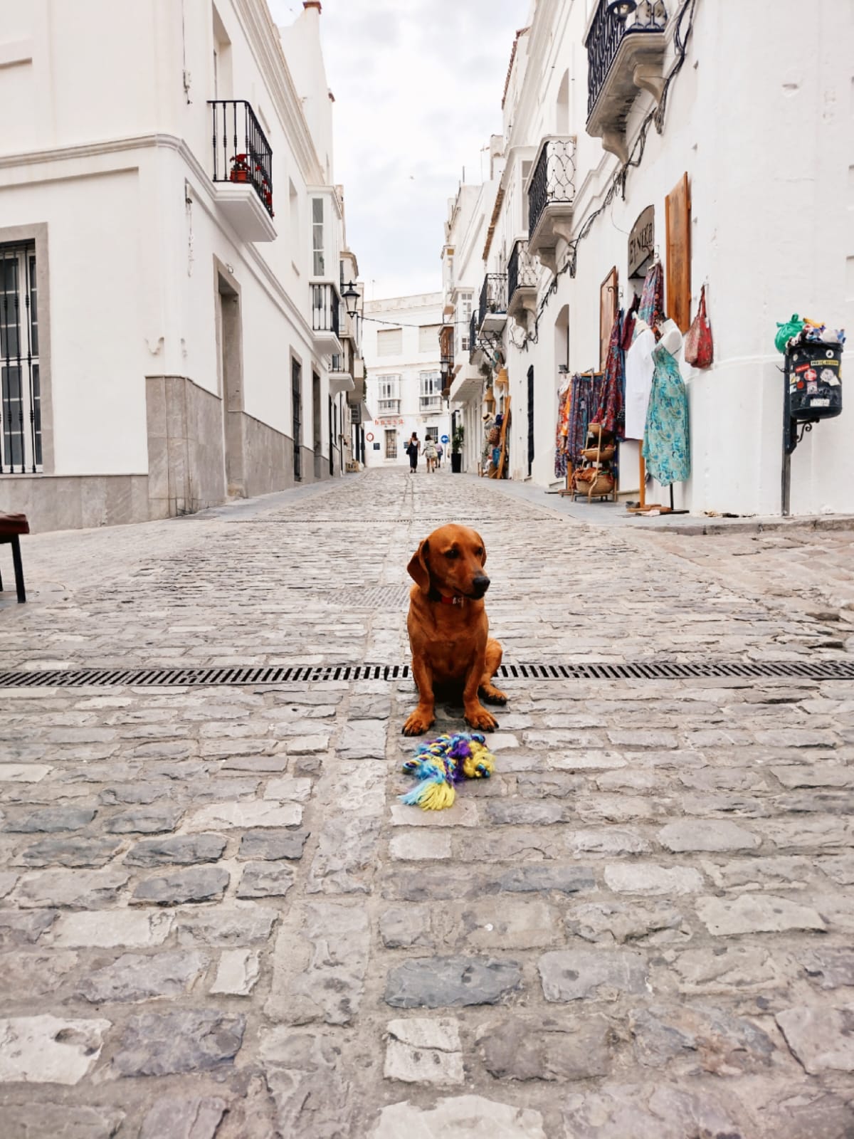 @Daniel