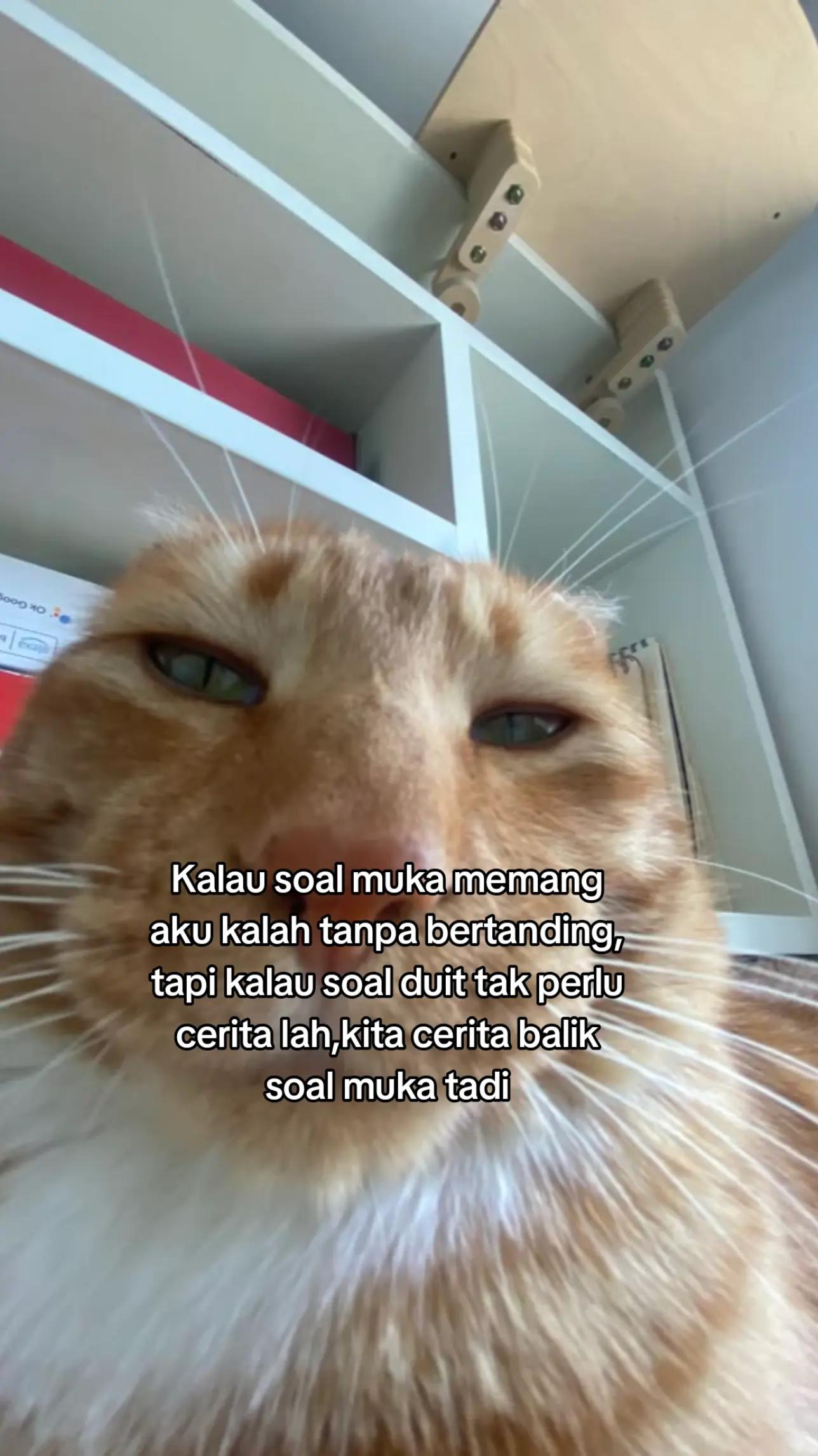 @M A N