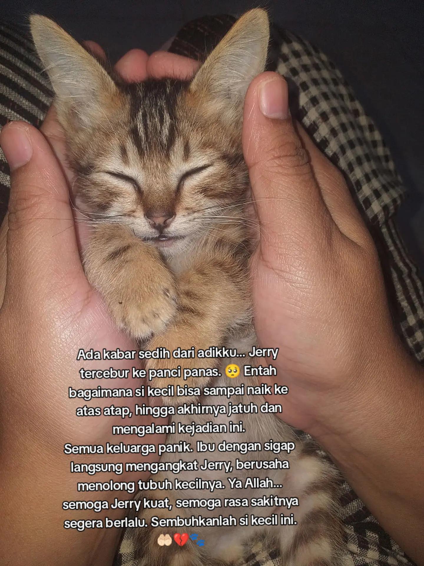 @Lina herlina