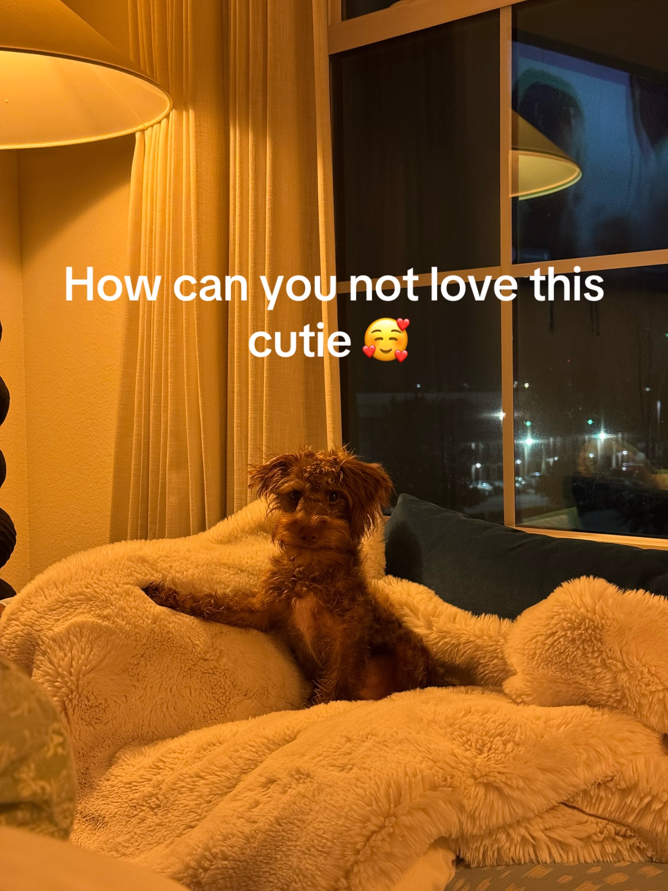 @adelebeauty2