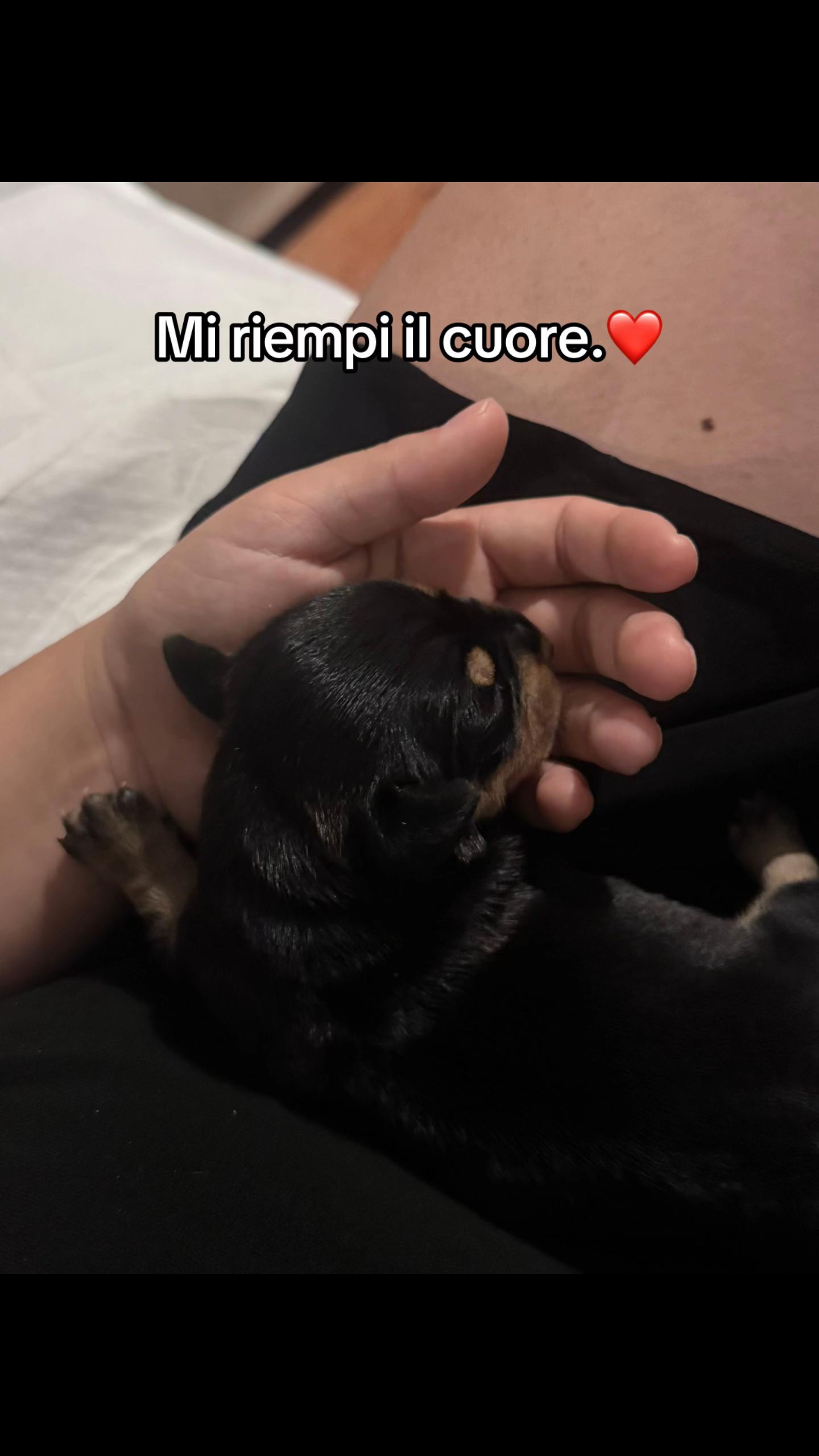 @💕