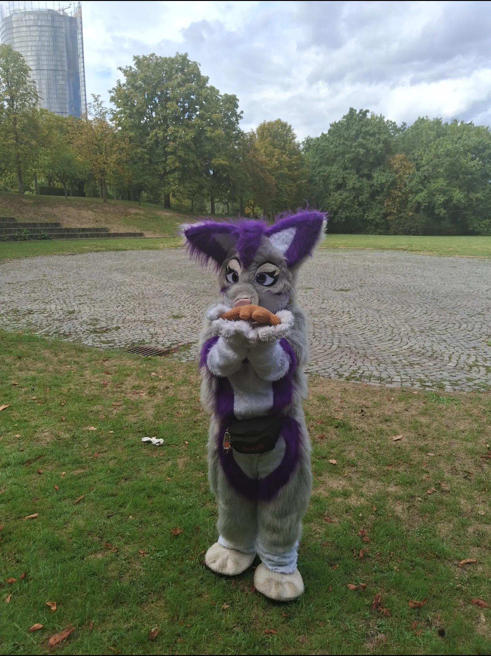 @Stella_and_furry_MFL_
