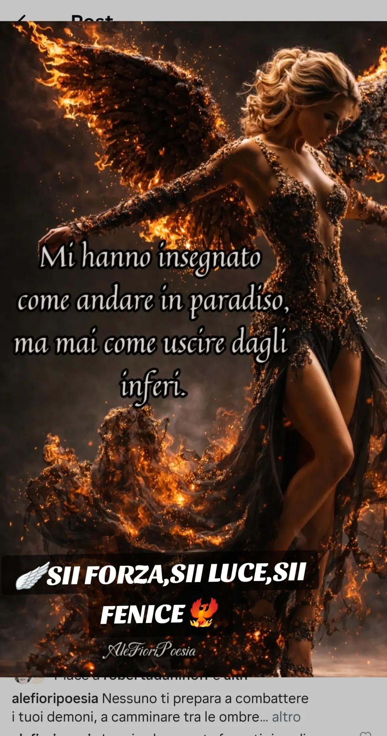 @La fenice🐦🔥
