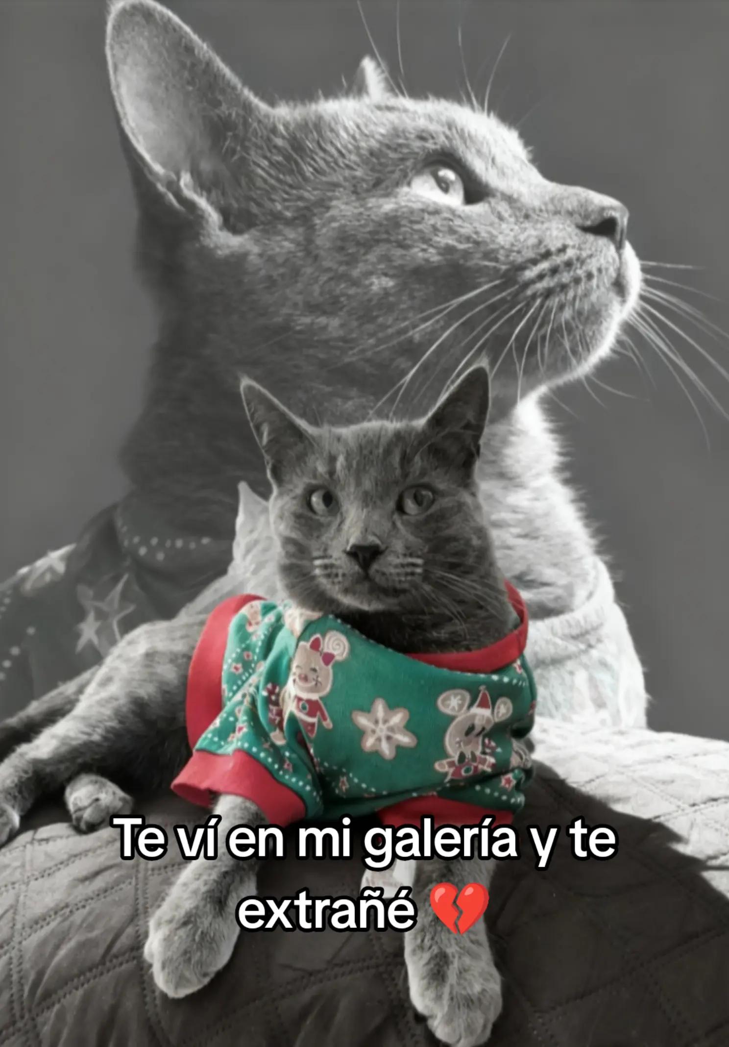@YajaStark
