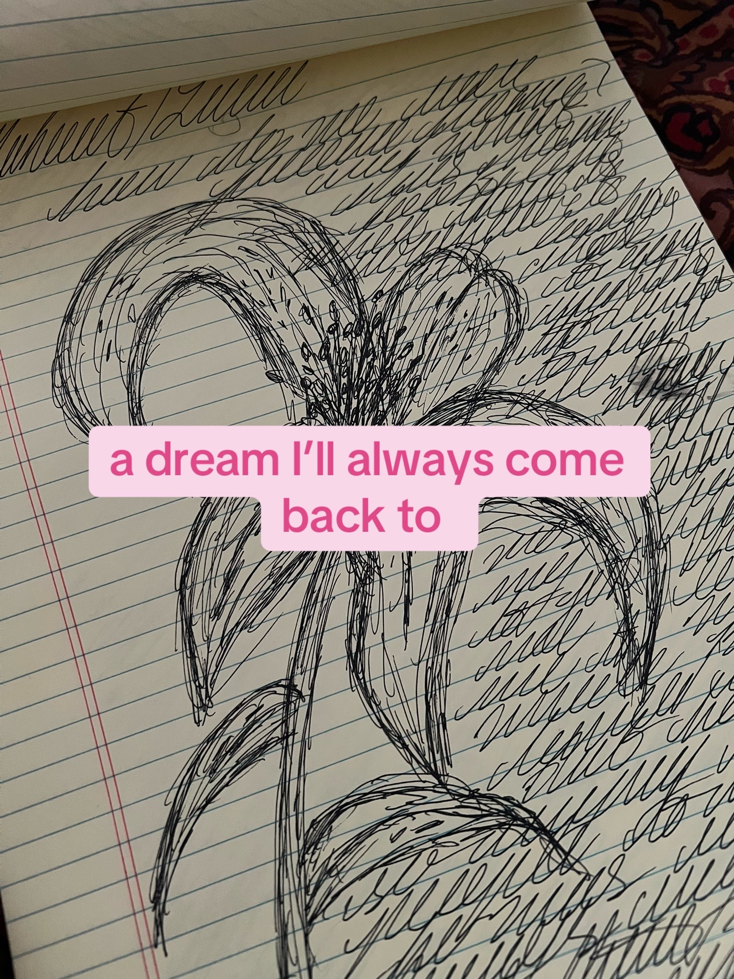 @Dylan | Writer | CC 📚🦋