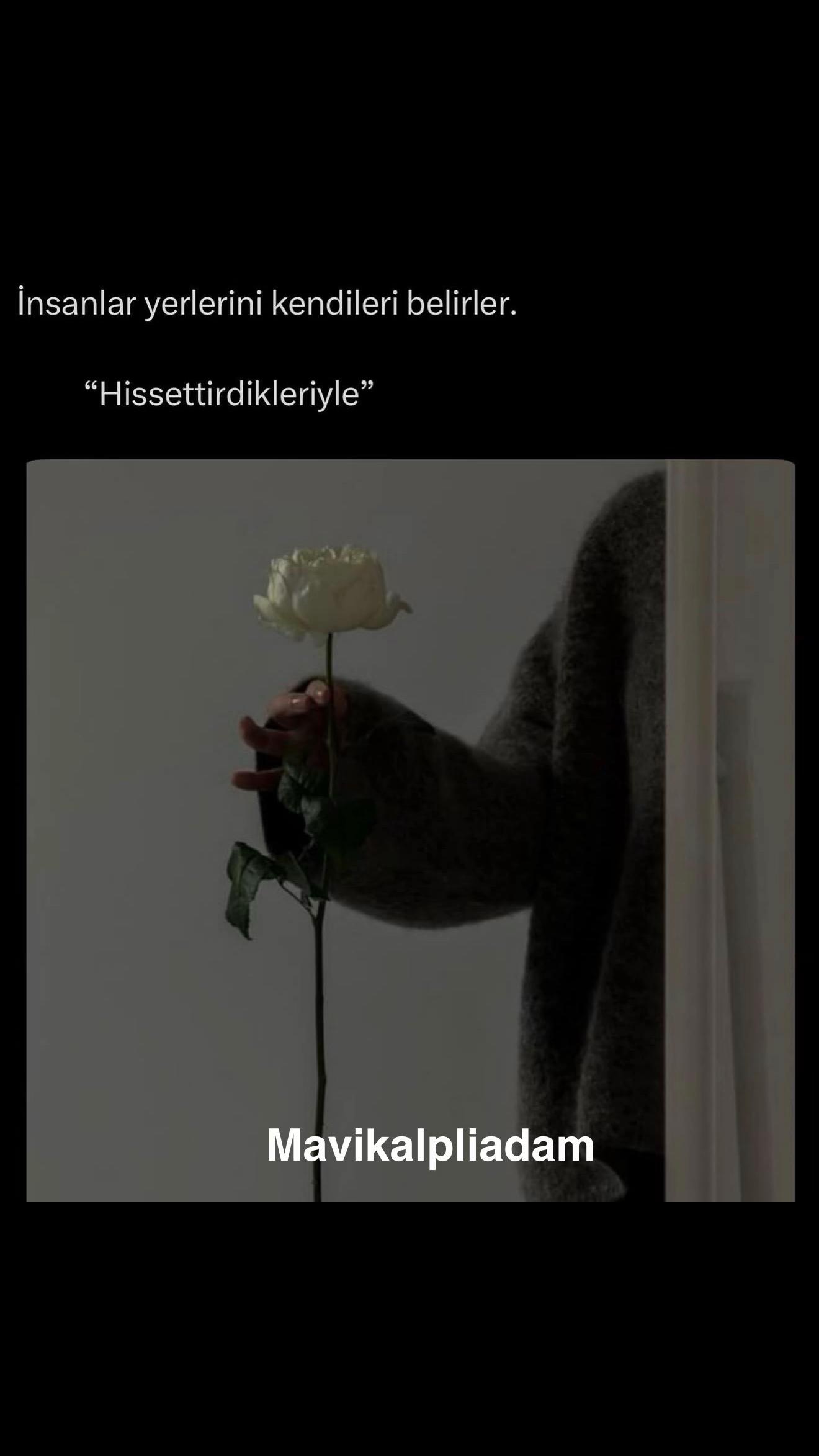 @#𝓜𝓪𝓿𝓲𝓴𝓪𝓵𝓹𝓵𝓲𝓪𝓭𝓪𝓶