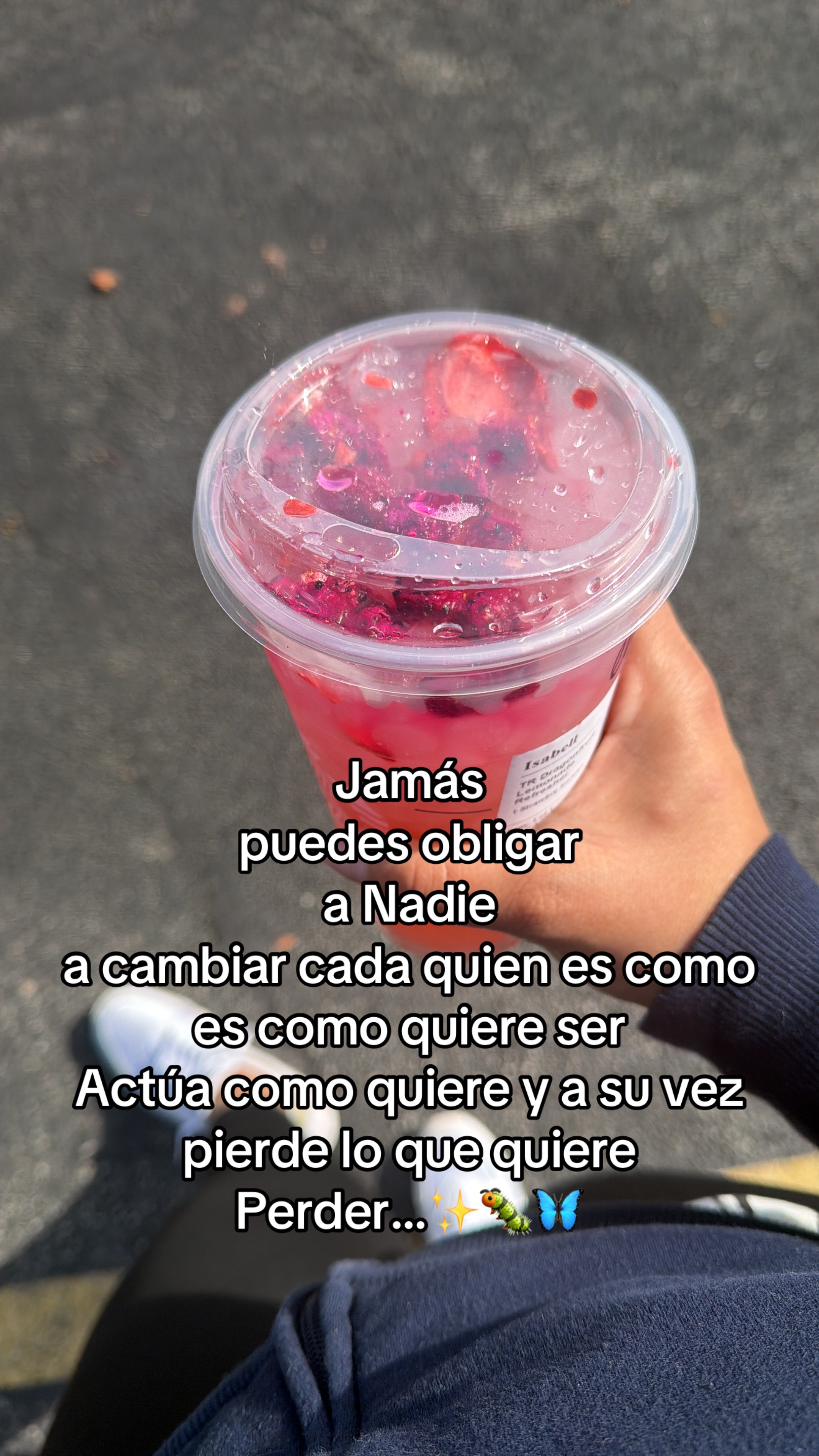 @🌼🌸La Osita 🌸🌼