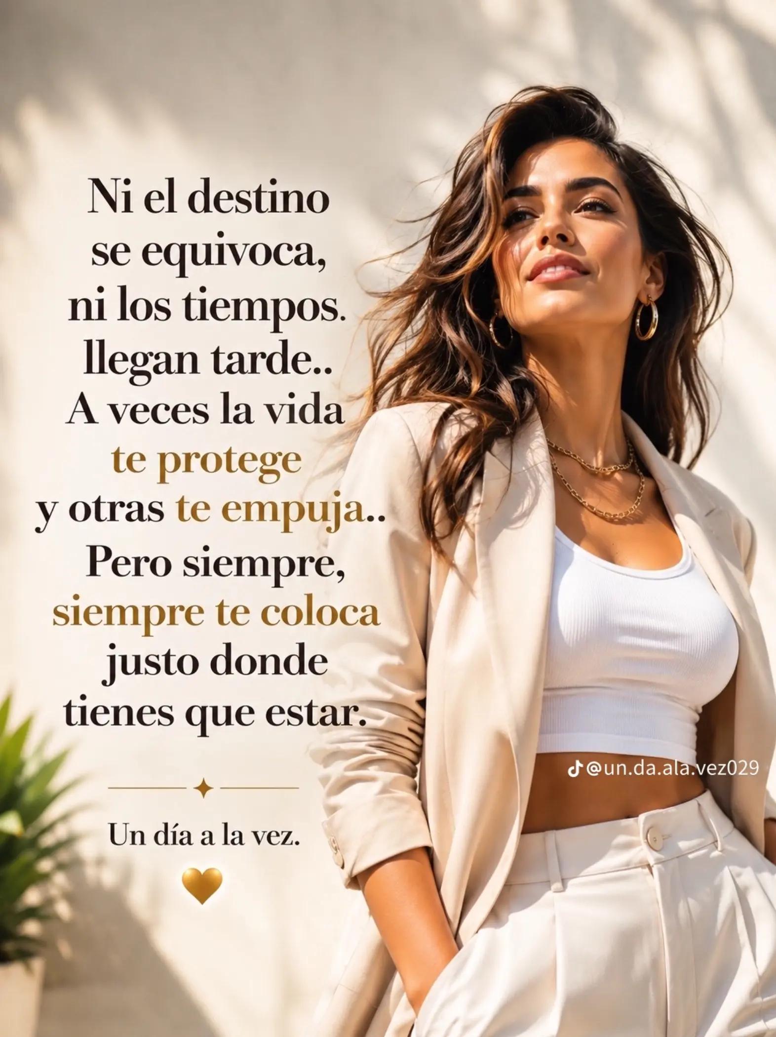 @moni Lira 💎