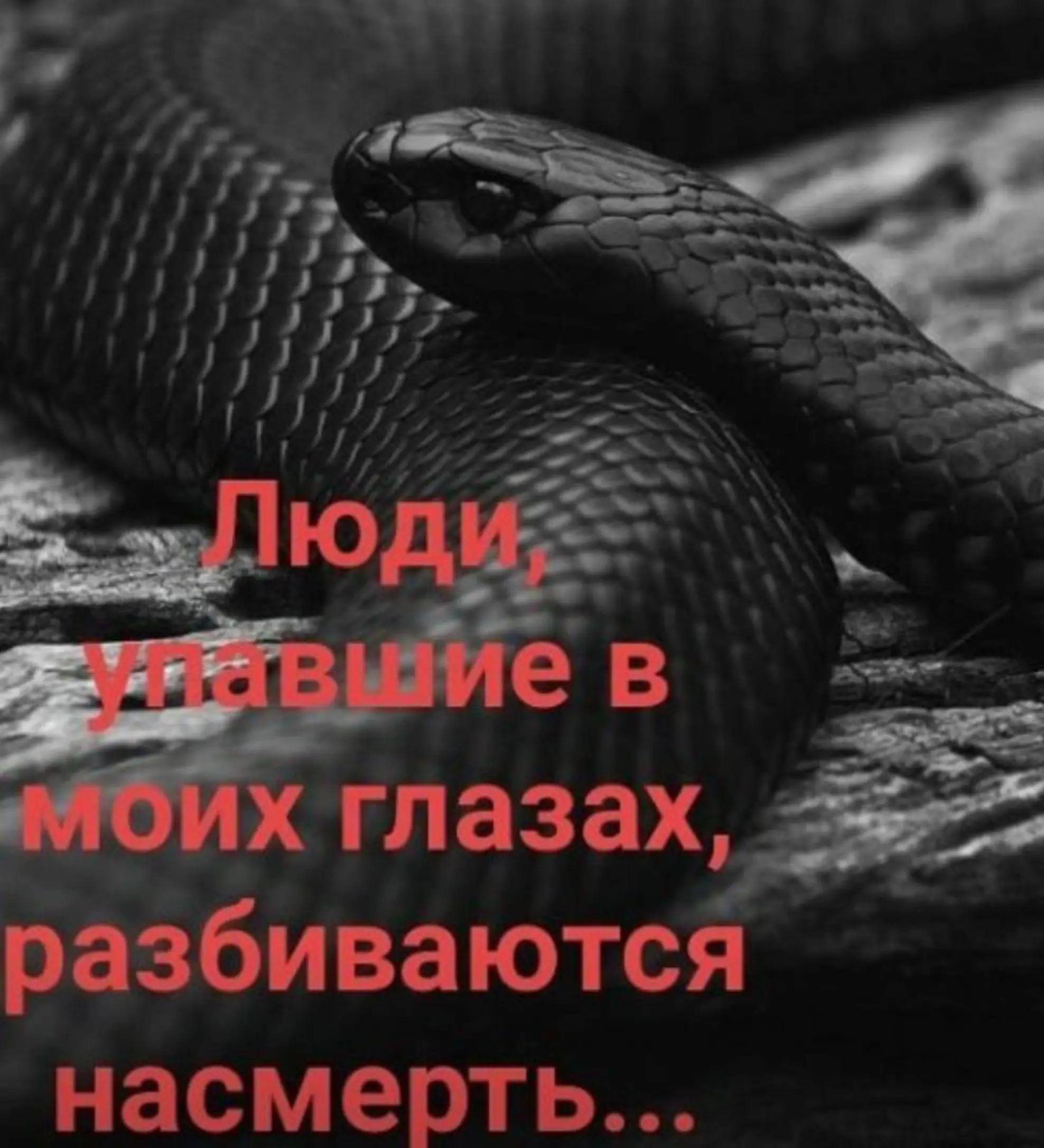 @ELENA