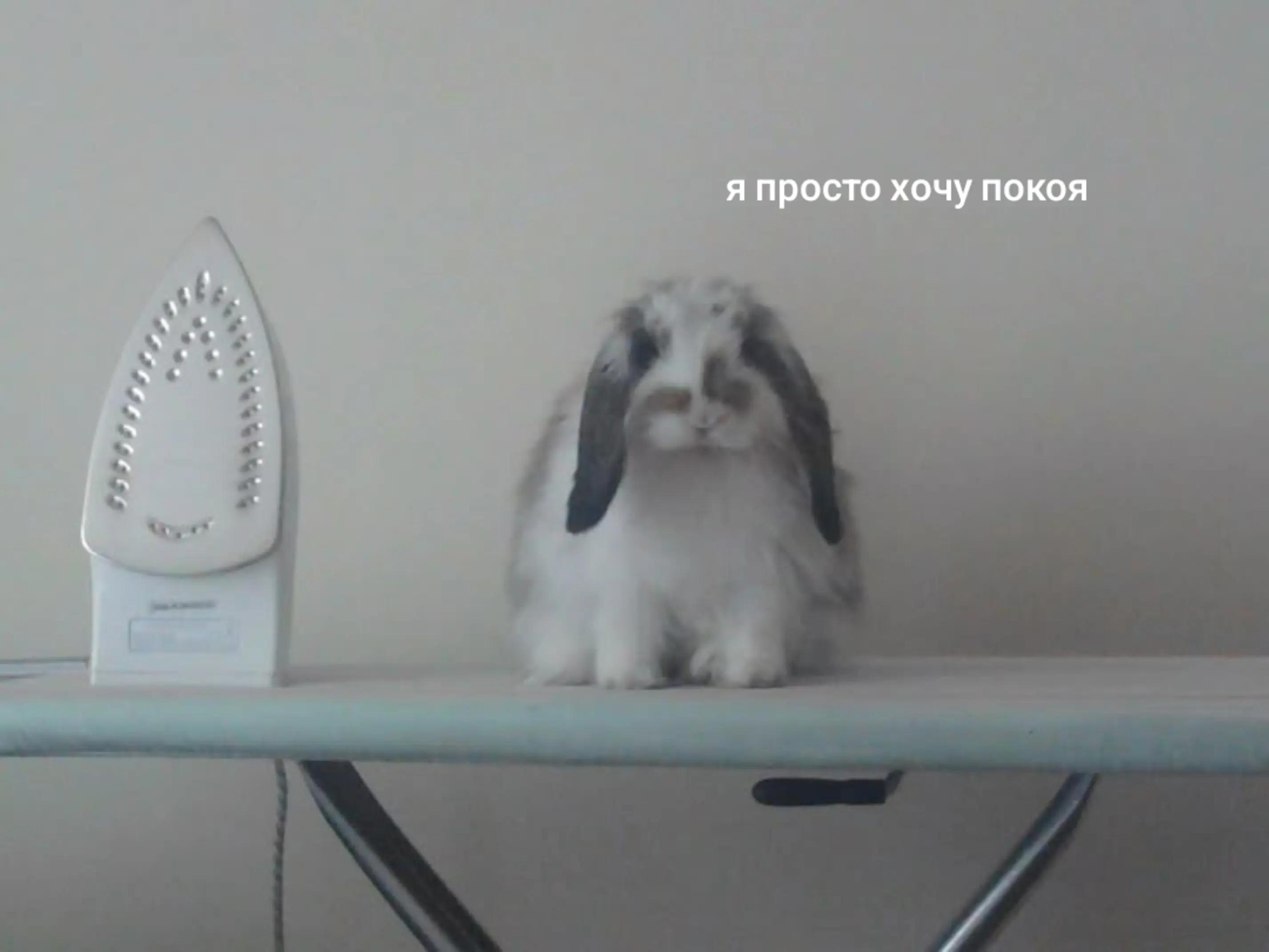 @мурч