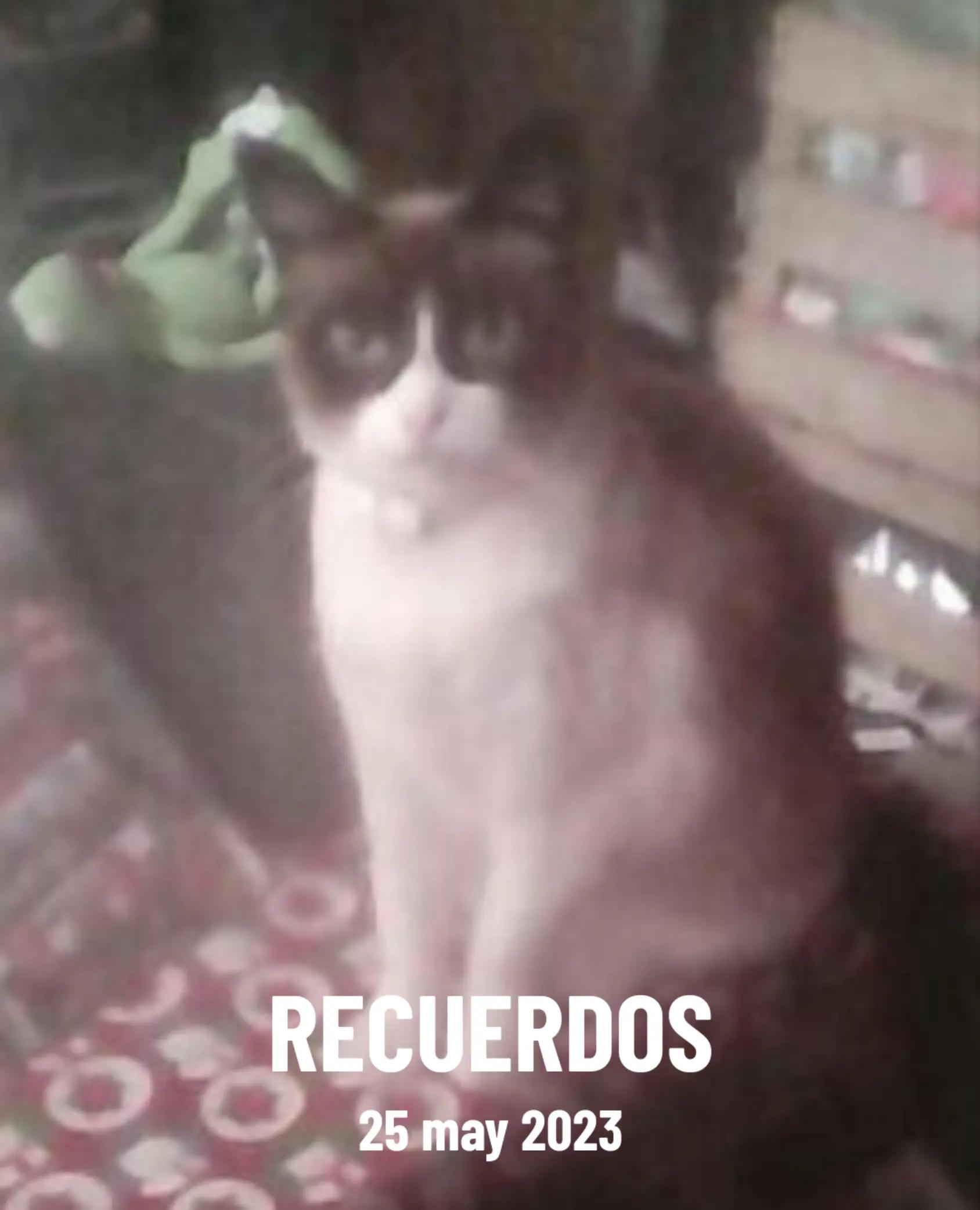 @@lunaeig