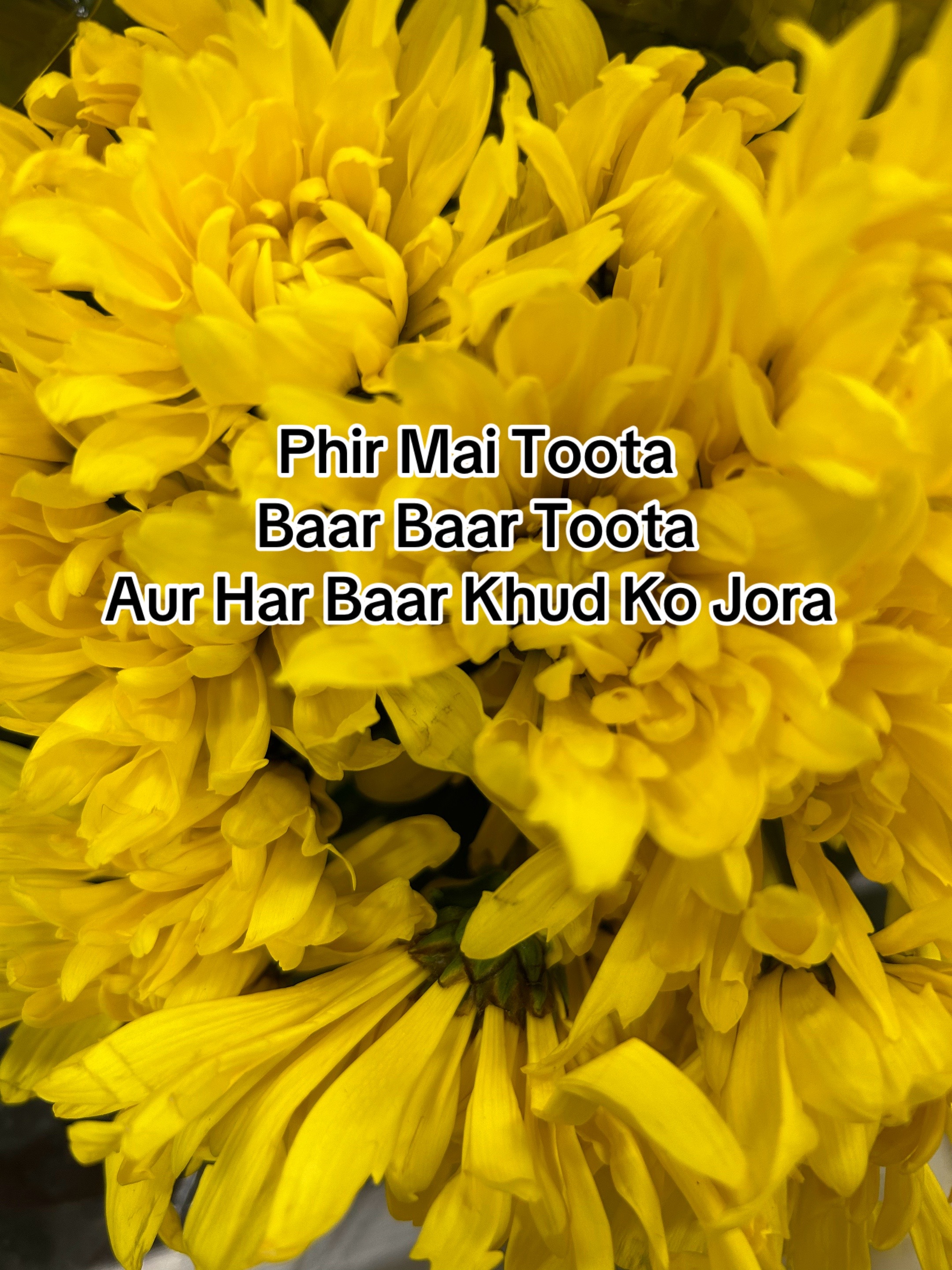 @ZaraHayat020104
