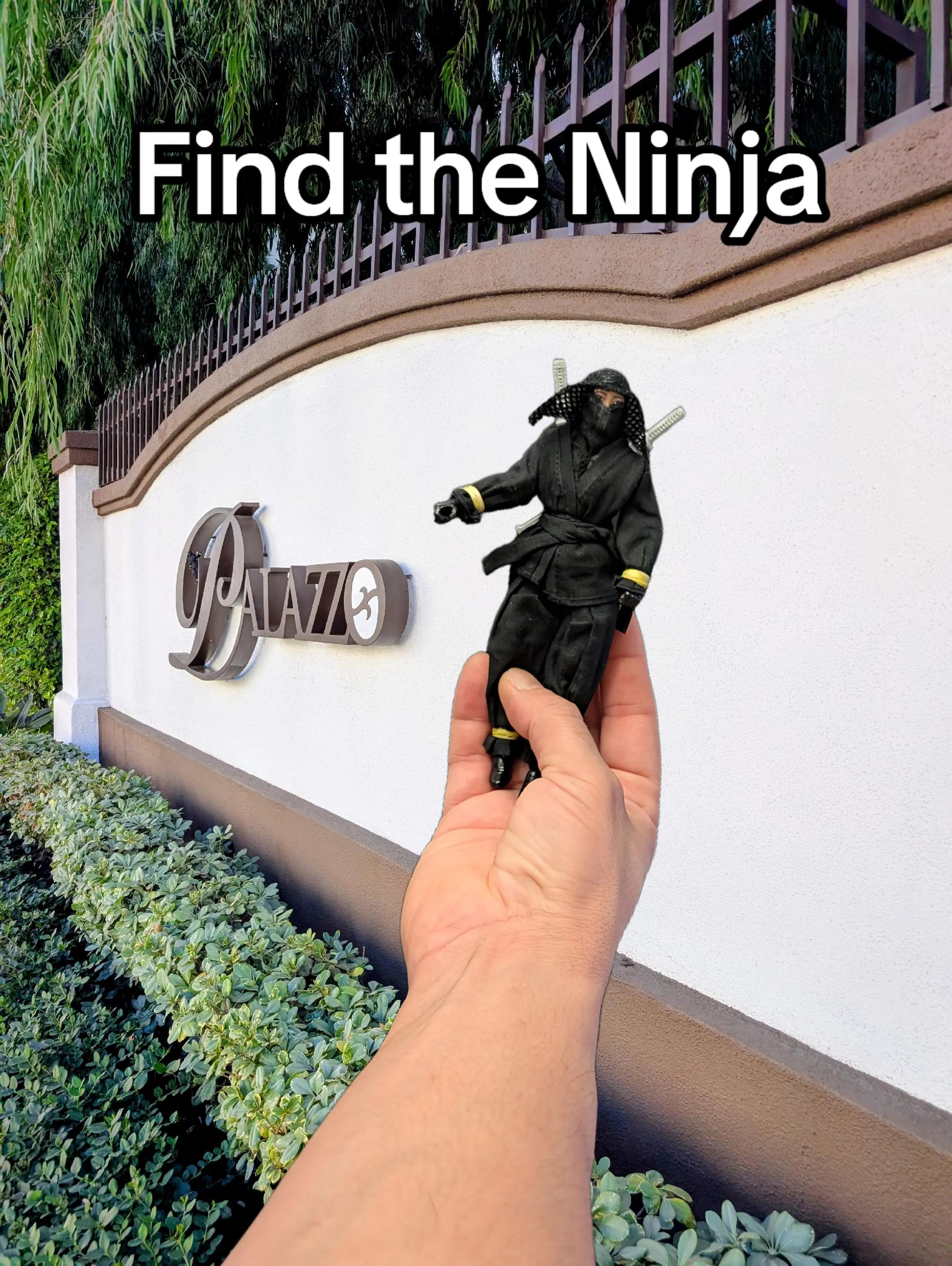@SpotTheSneakyNinja