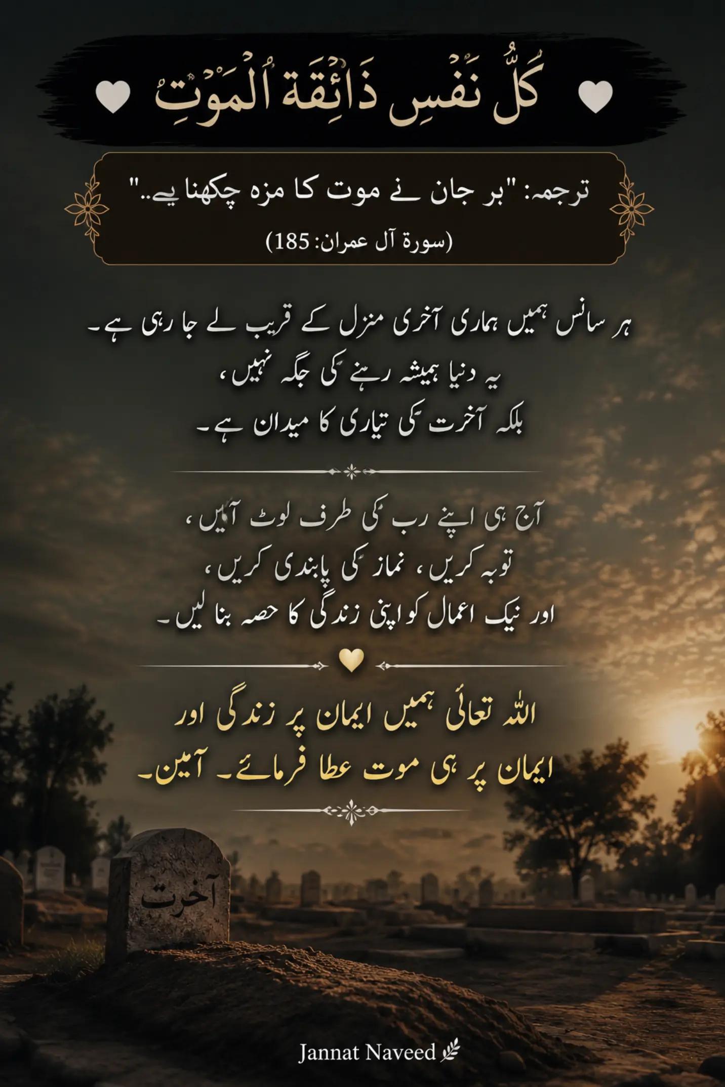 @Jannat Navid