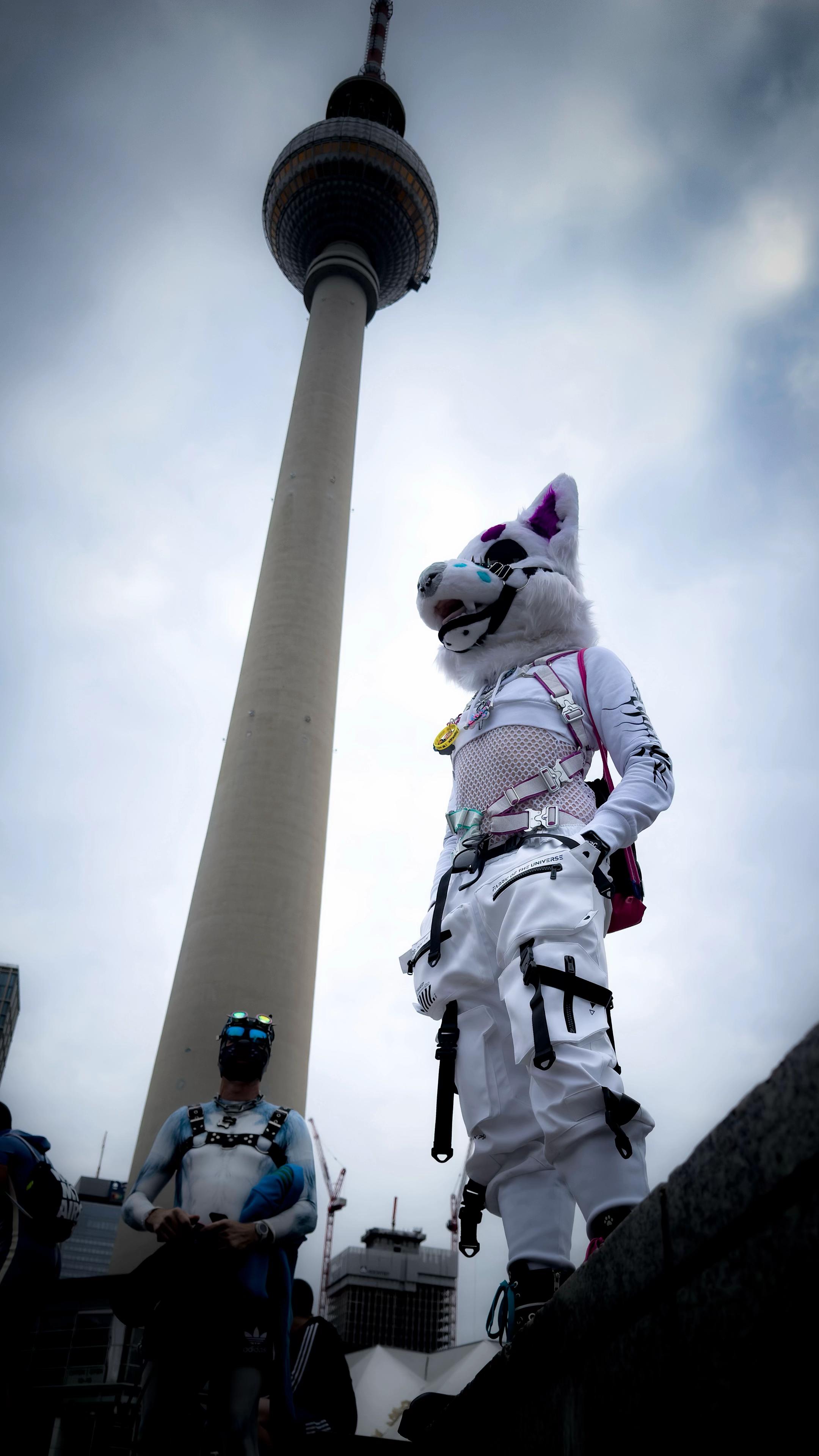 @✨Nekura the Fox✨