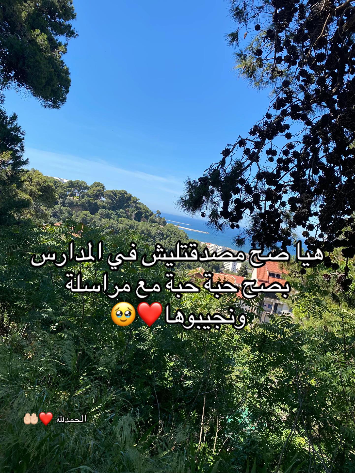 @Liounna🤎🐆🪬