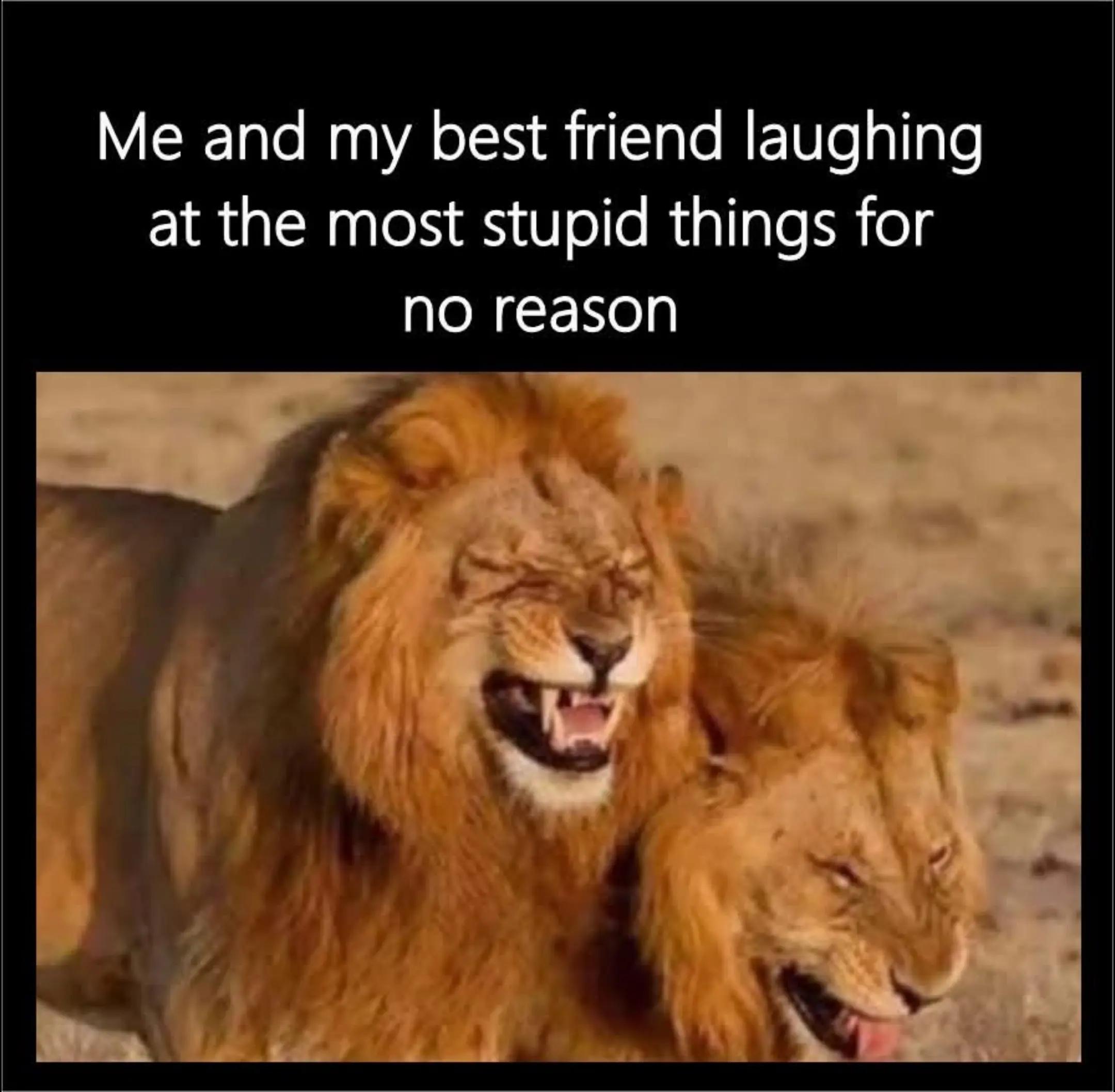 @Nyokabi M.