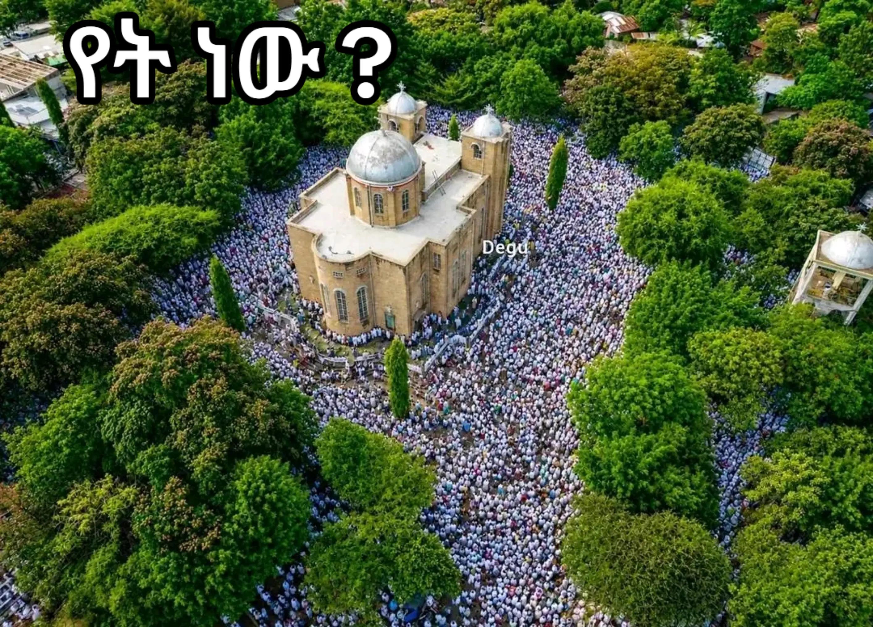 @ሳቂታዋ 🤣