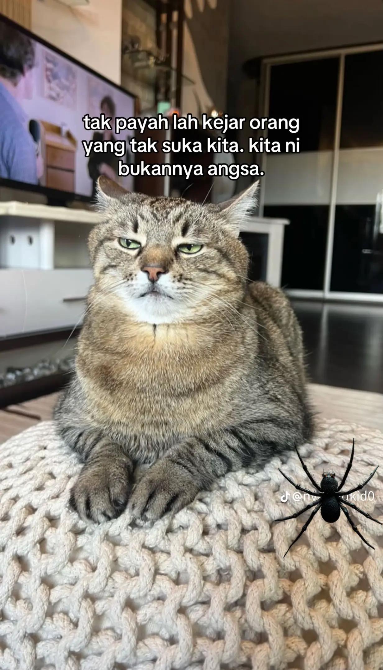 @Shida