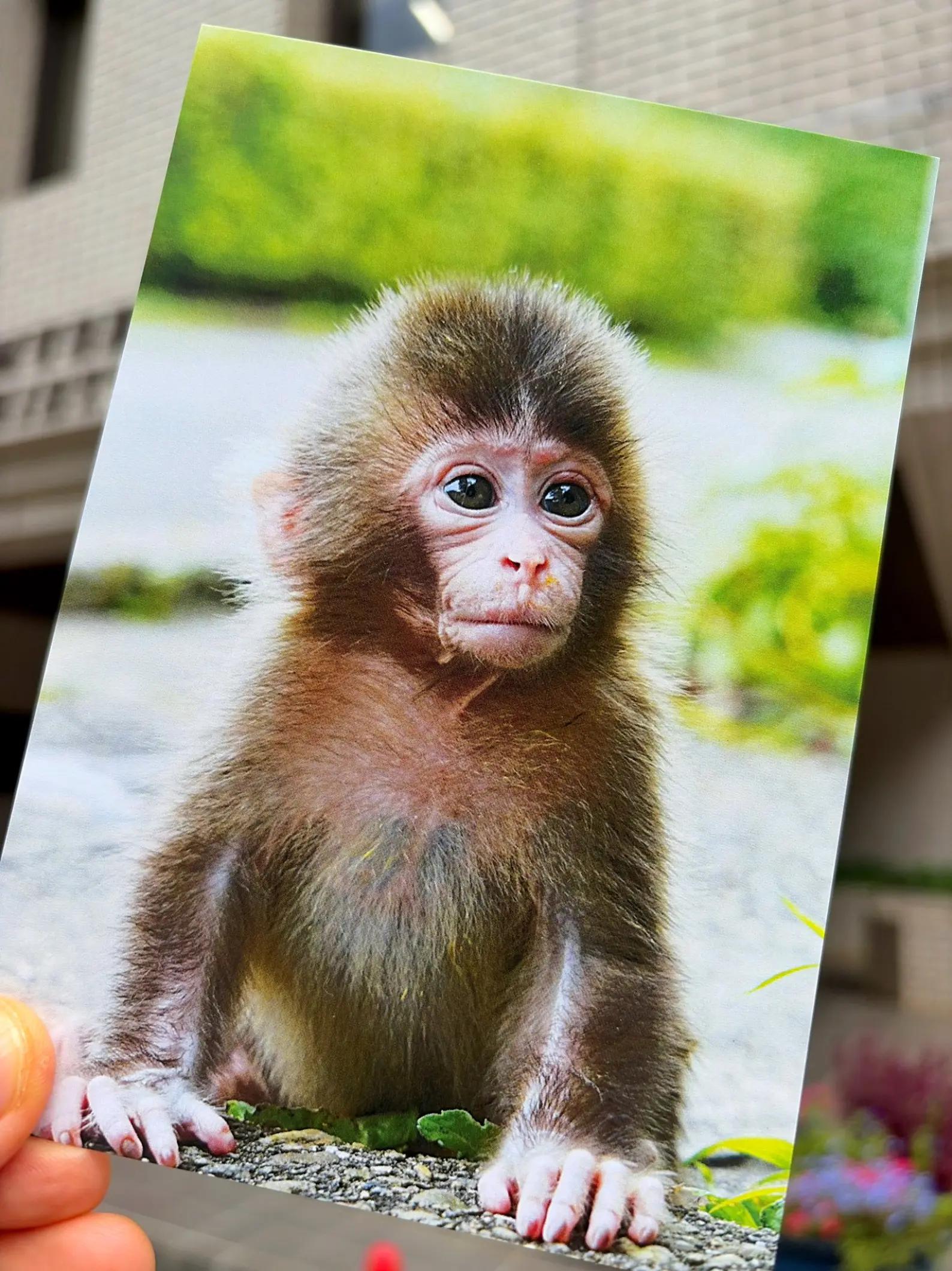 @Ichikawa City Zoo