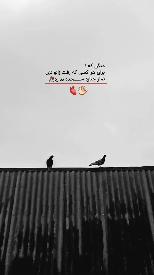 @___rayes___parwiz___4d