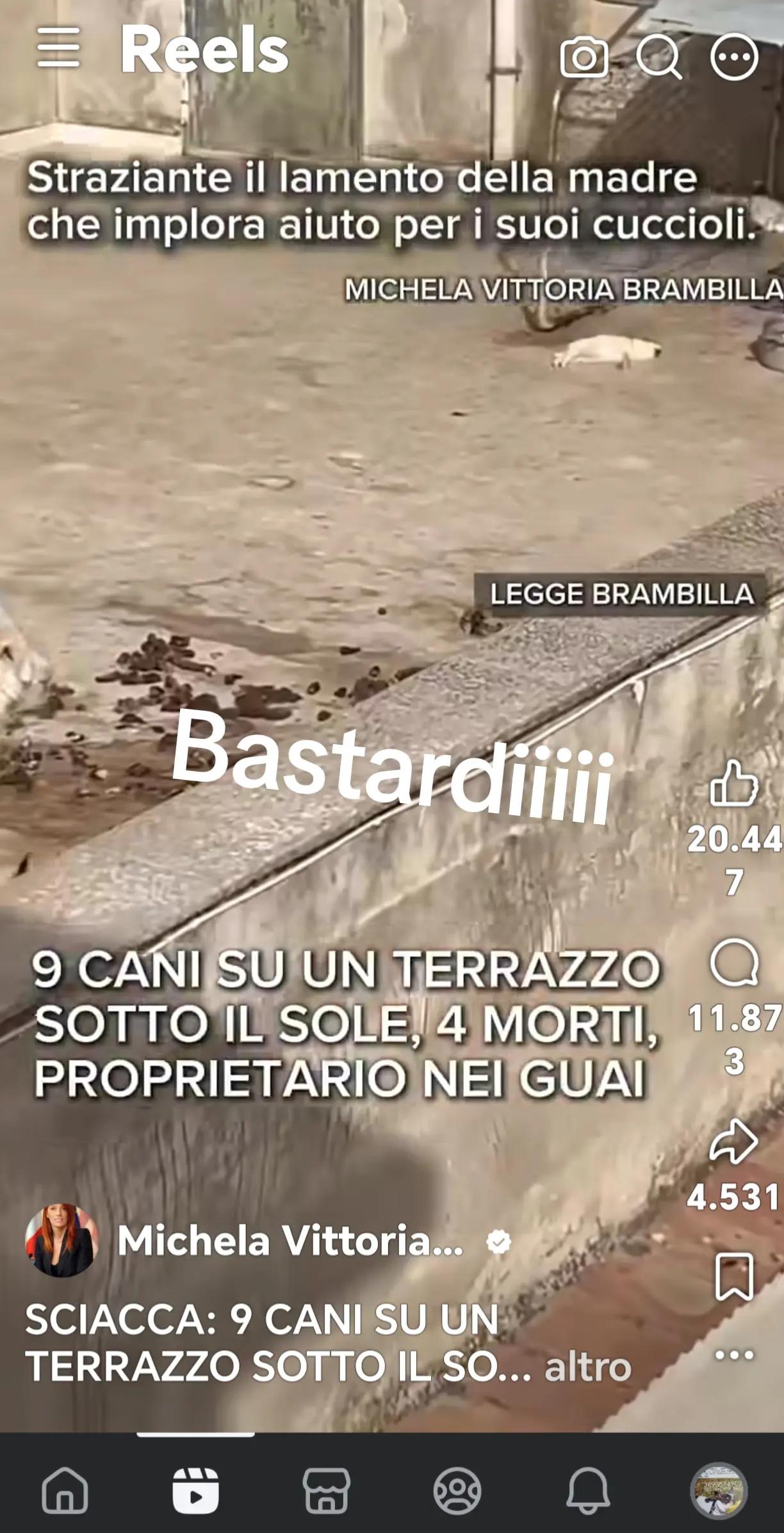 @GLI Sgomberi DI Monica paderi
