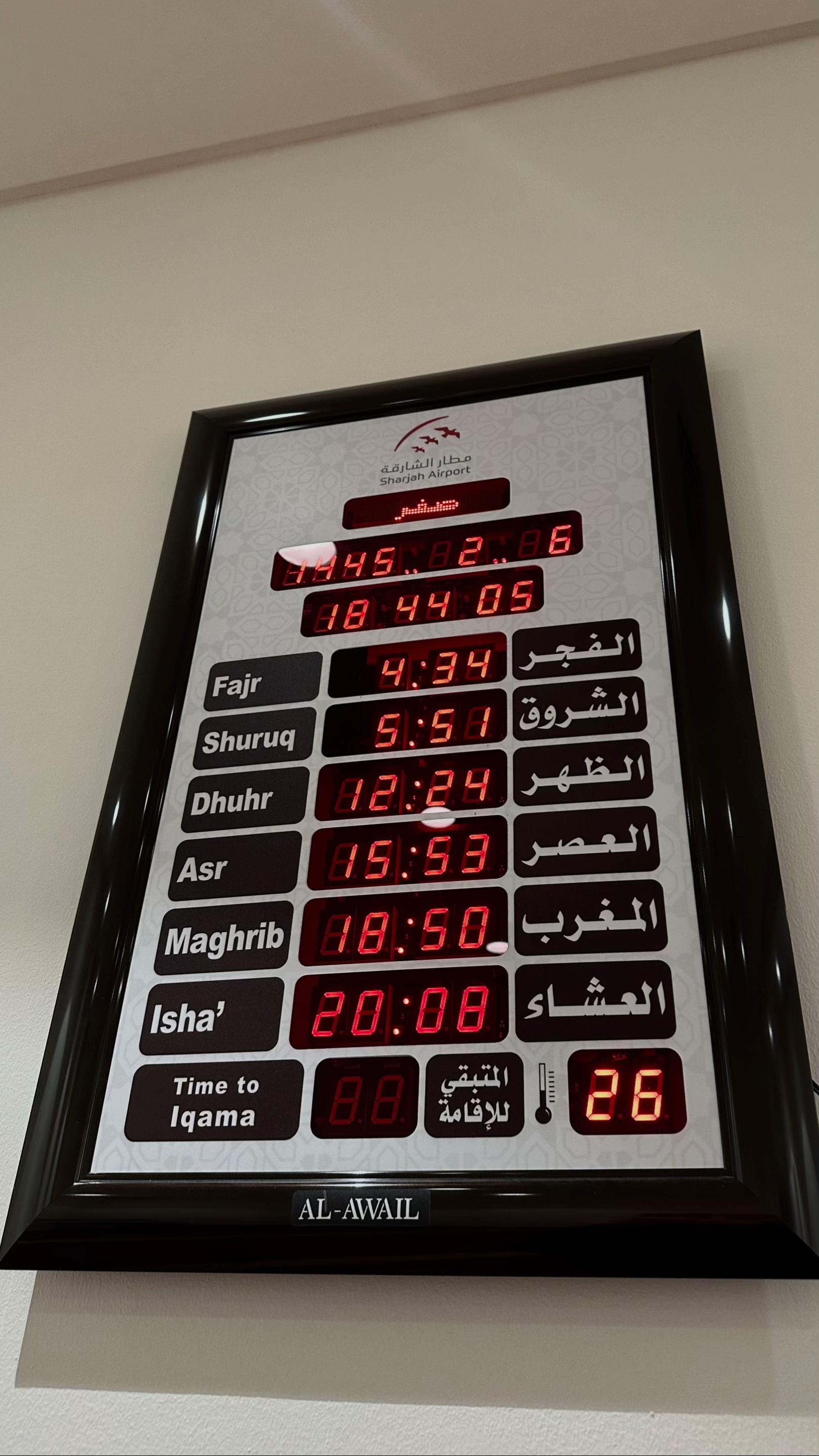 @RAMINA RIAD