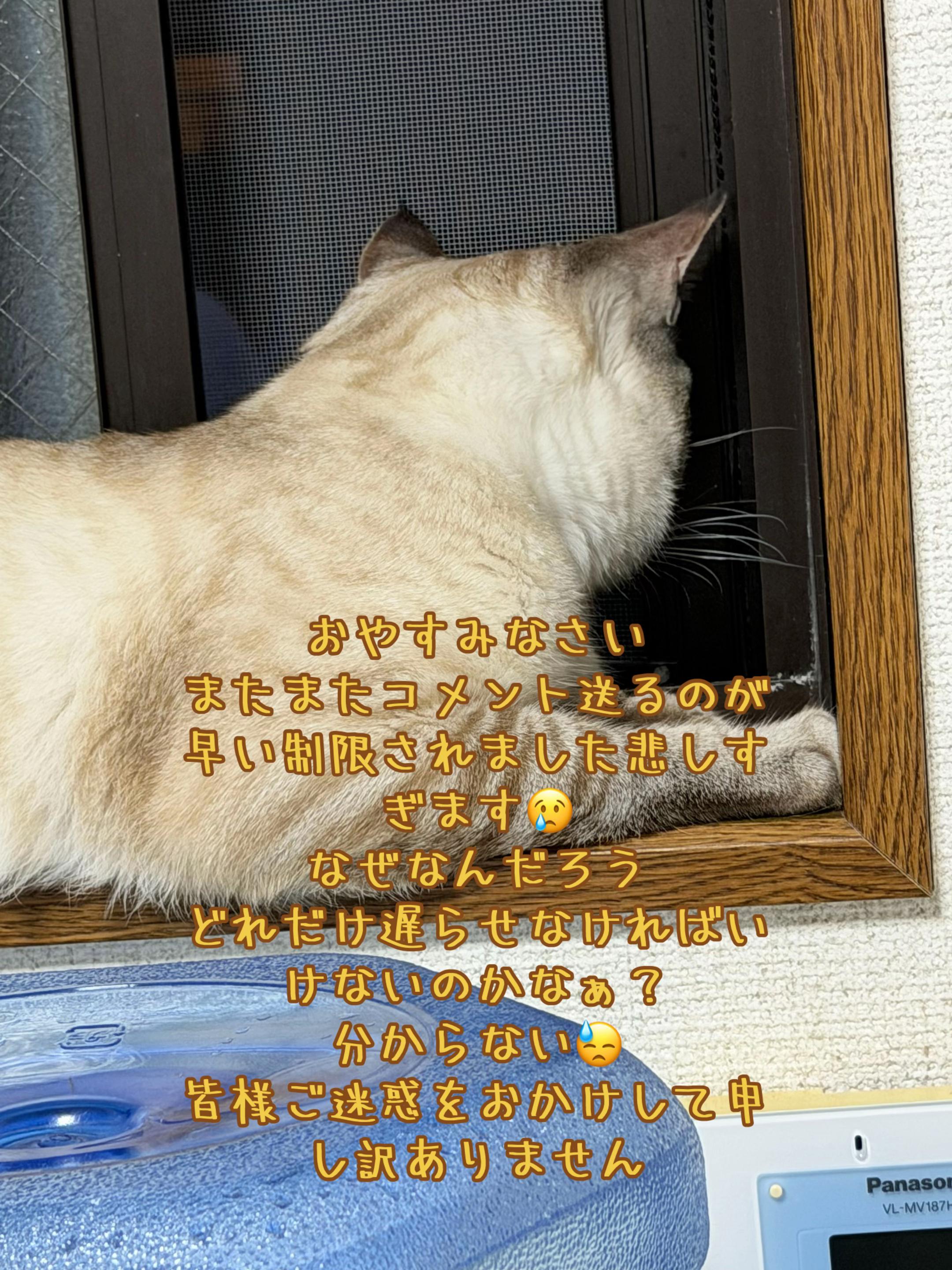 @ð¥é»æŸ€æ£å¿ð¥