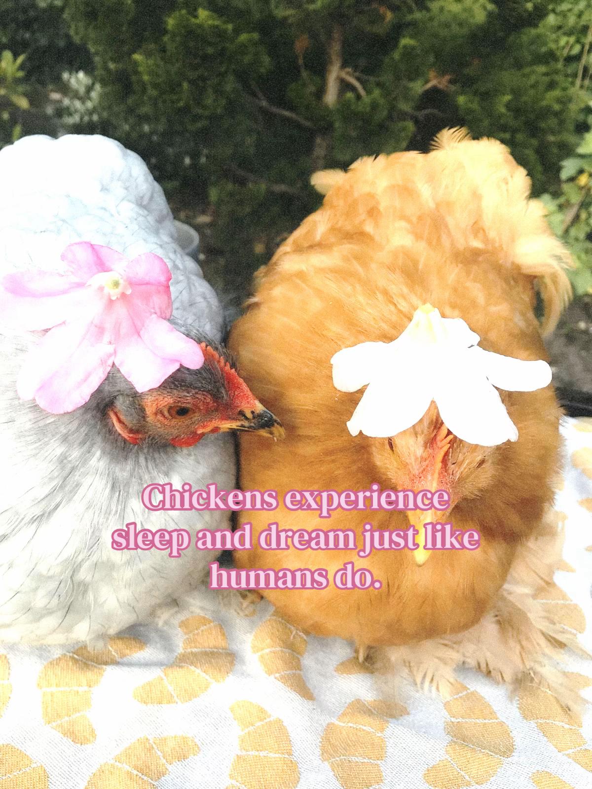 @₊˚⊹♡🧘🏼&zwj;♀️🌀🌞 ˚｡⋆౨ৎ