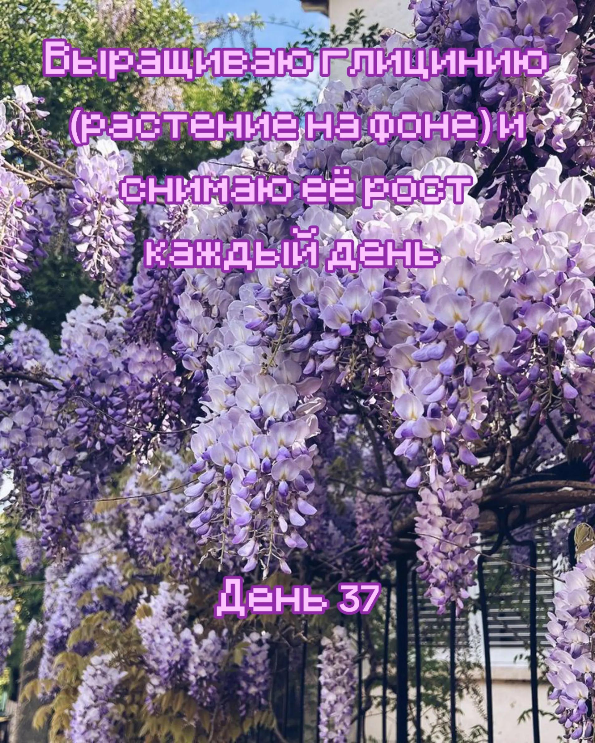 @Дрелька [nu]