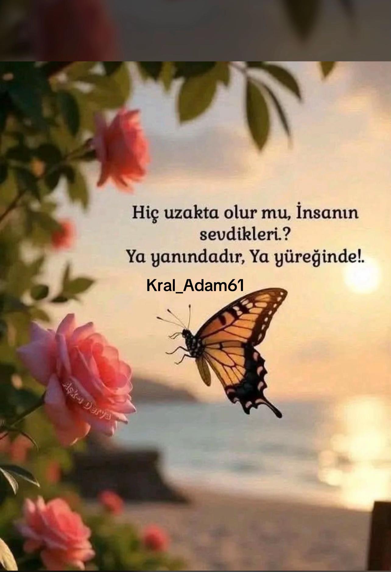@erdal.akyasan.61