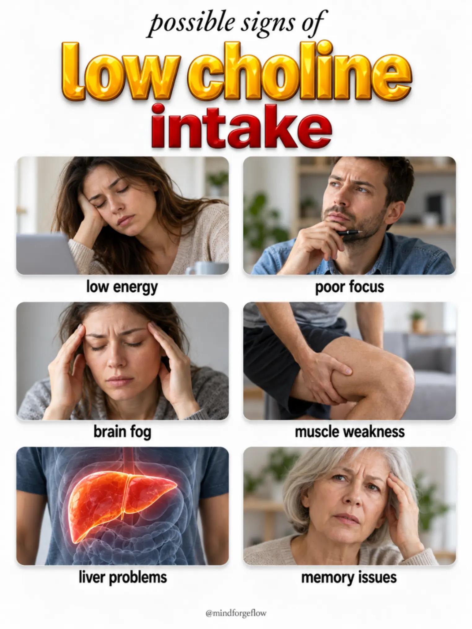@MindForgeFlow