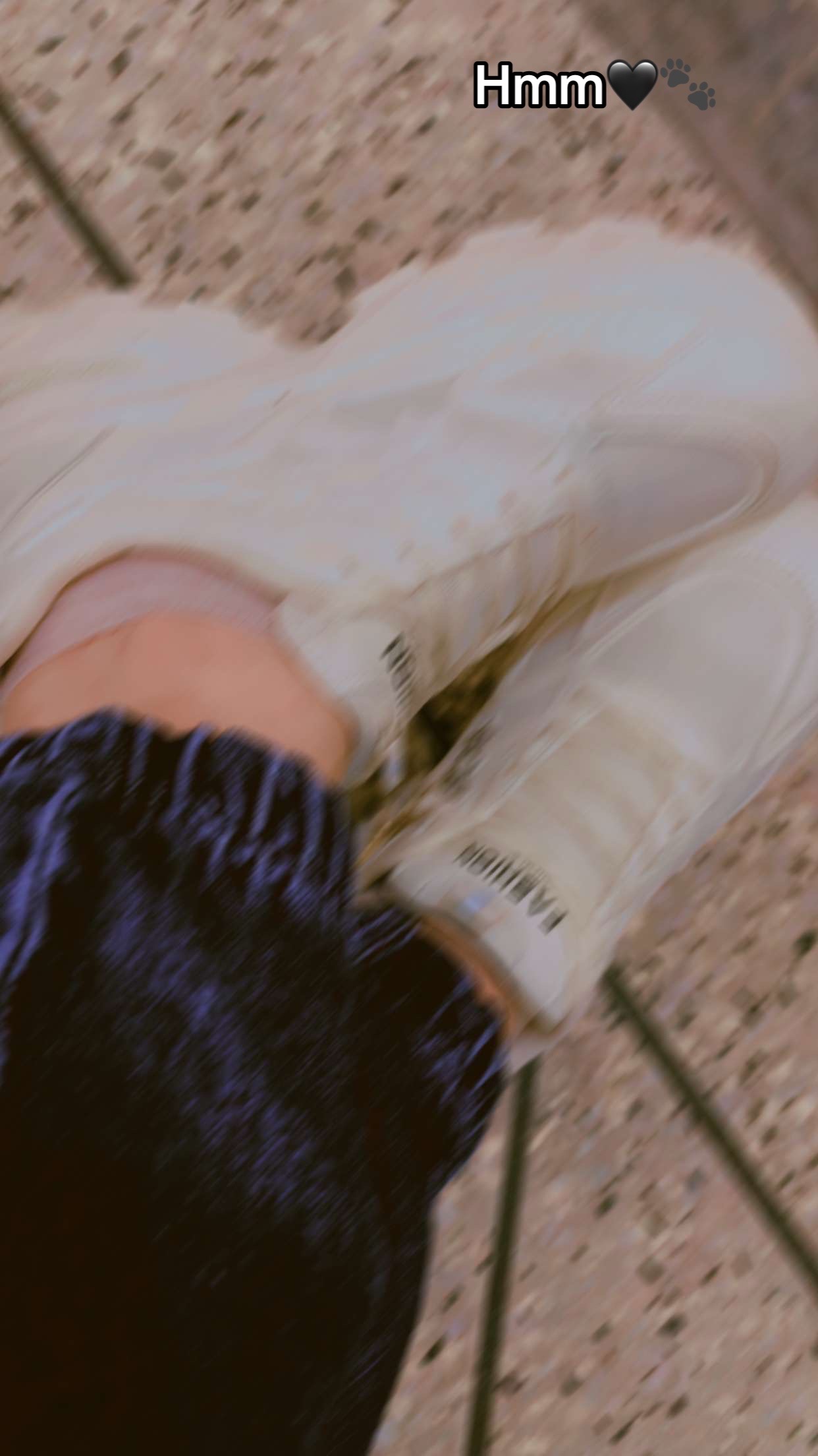 @🦋 ❥︎≛⃝الف&bull;˚₊‧⋆. 🕊️