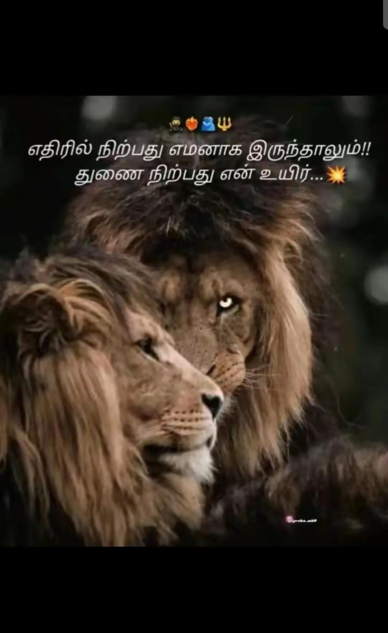 @✨👀ROHITH👀✨
