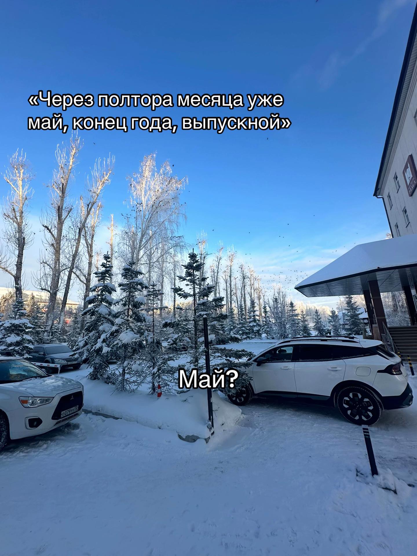 @aleksaa