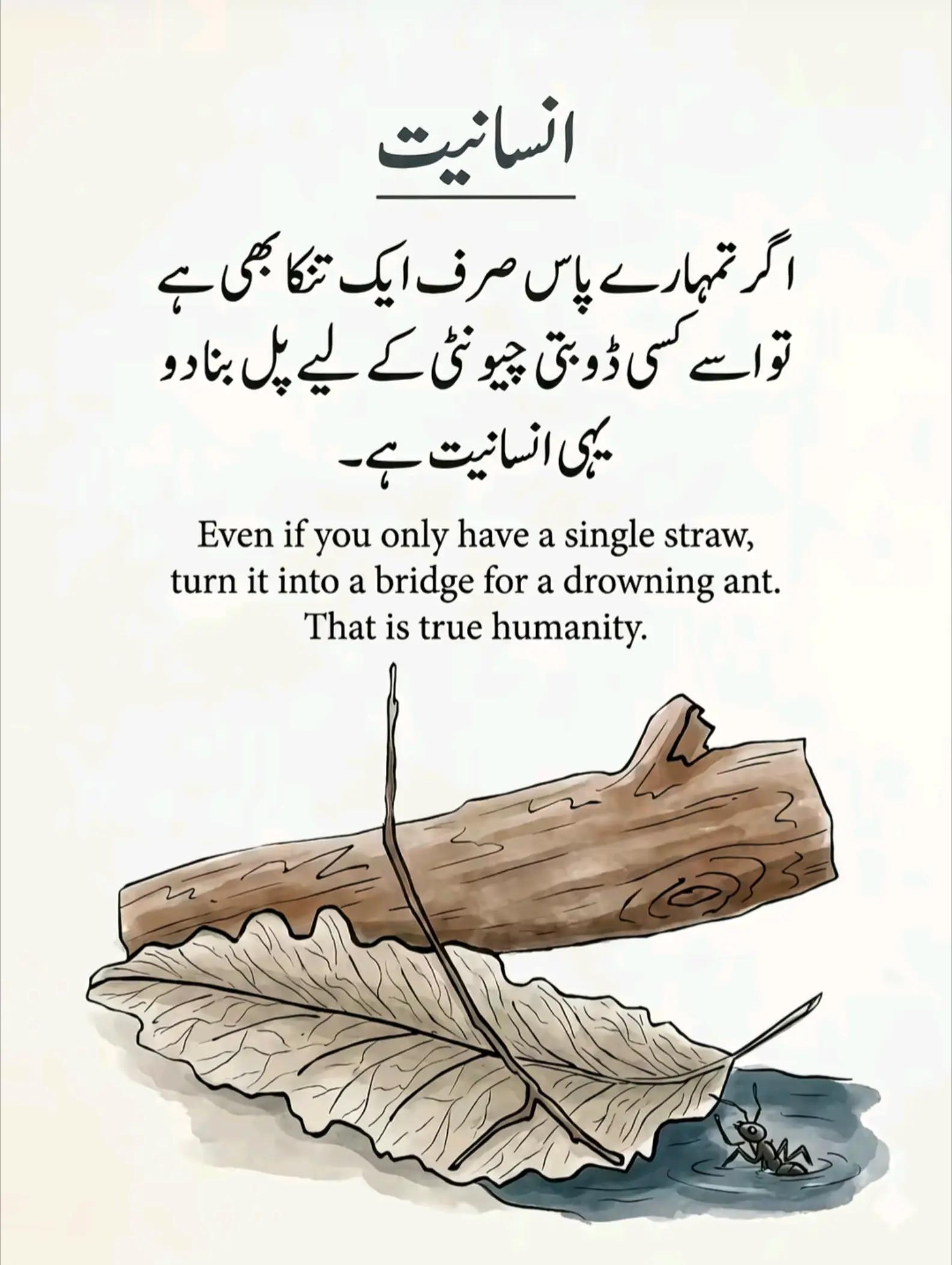 @Taimur Zaheer 🤍