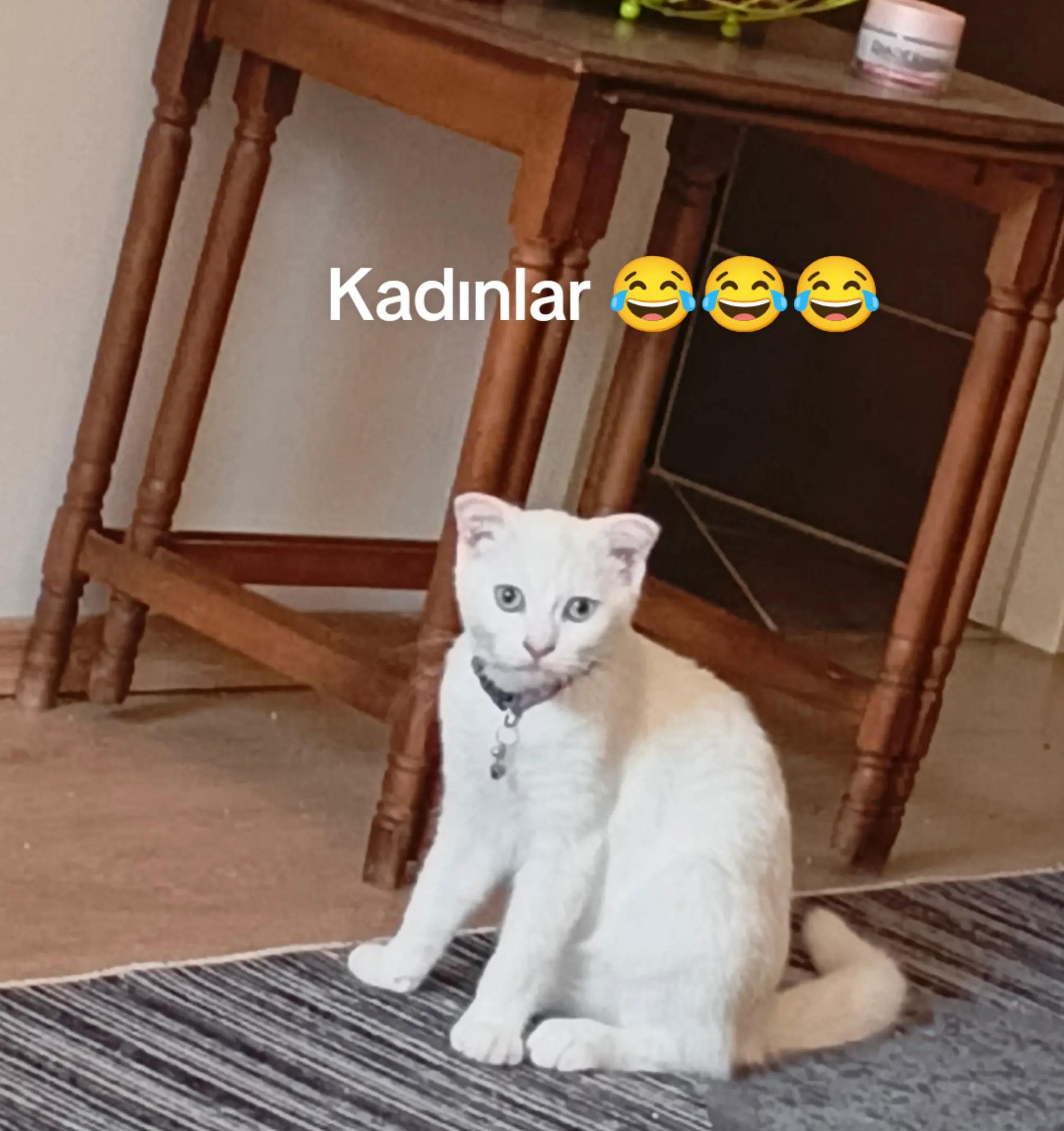 @Emrah &Ccedil;evik
